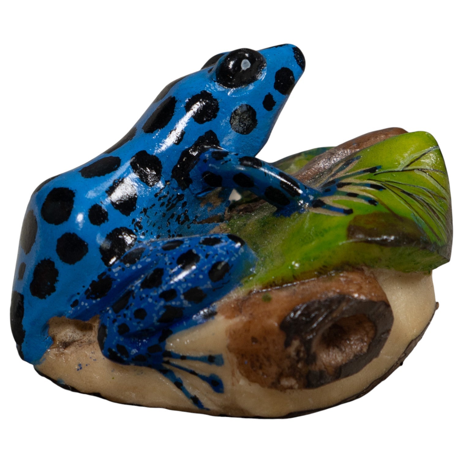 Blue Poison Dart Frog Tagua Carving