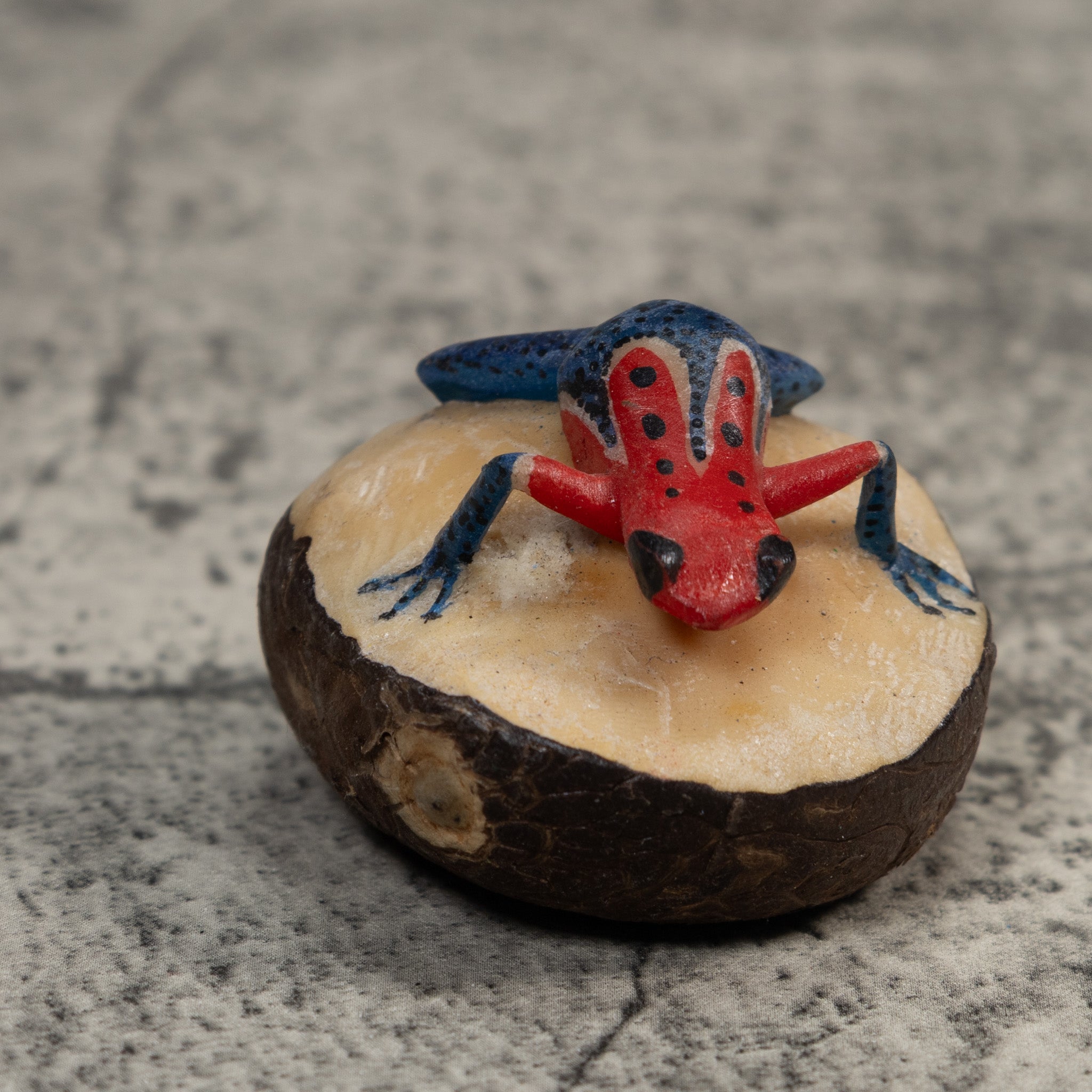 Red And Blue Poison Dart Frog Tagua Carving