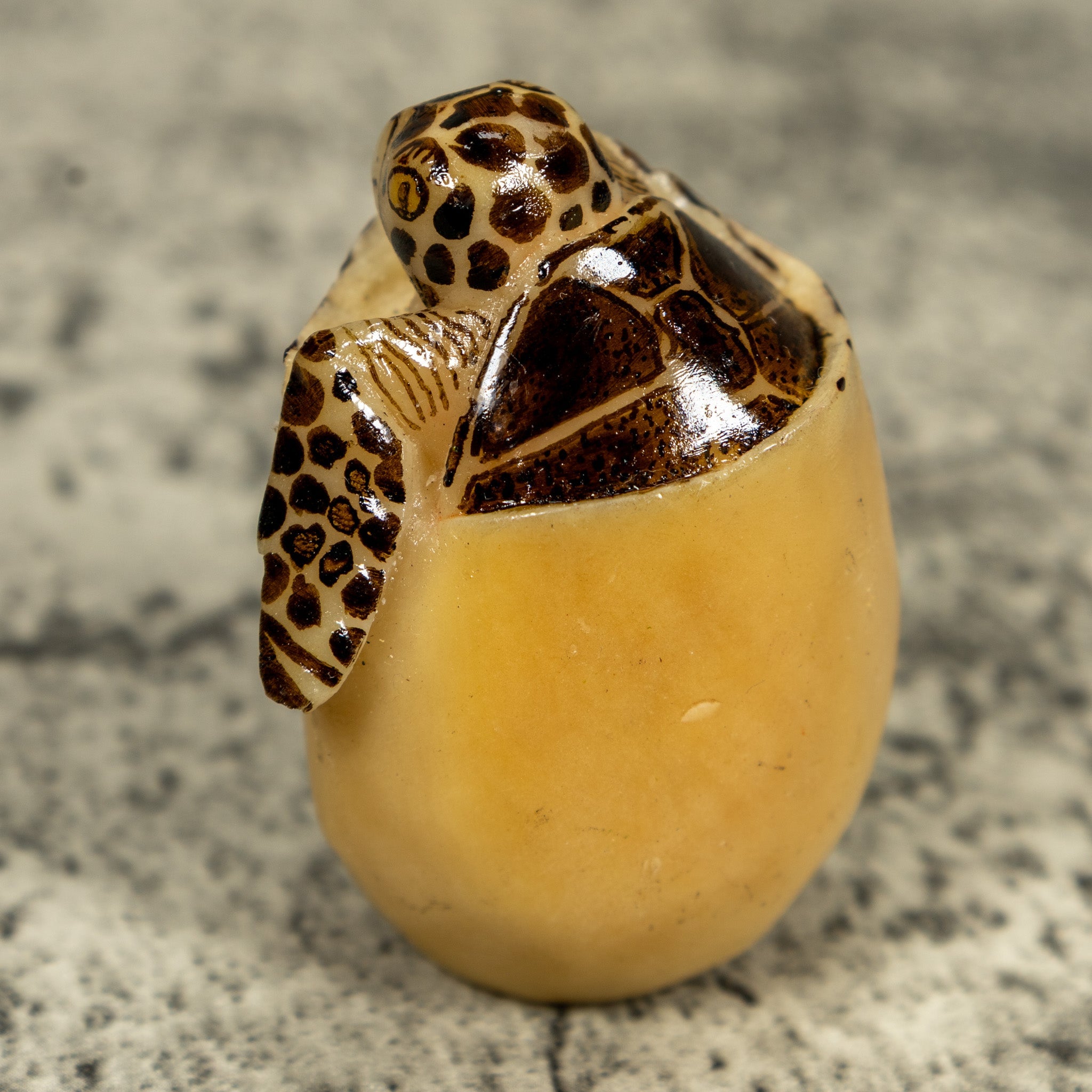 Vintage Sea Turtle Emerging From Egg Tagua Carving