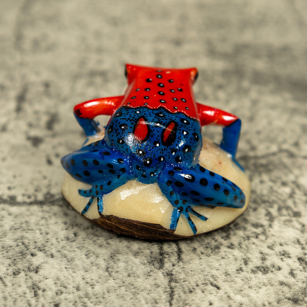 Red And Blue Poison Dart Frog Tagua Carving