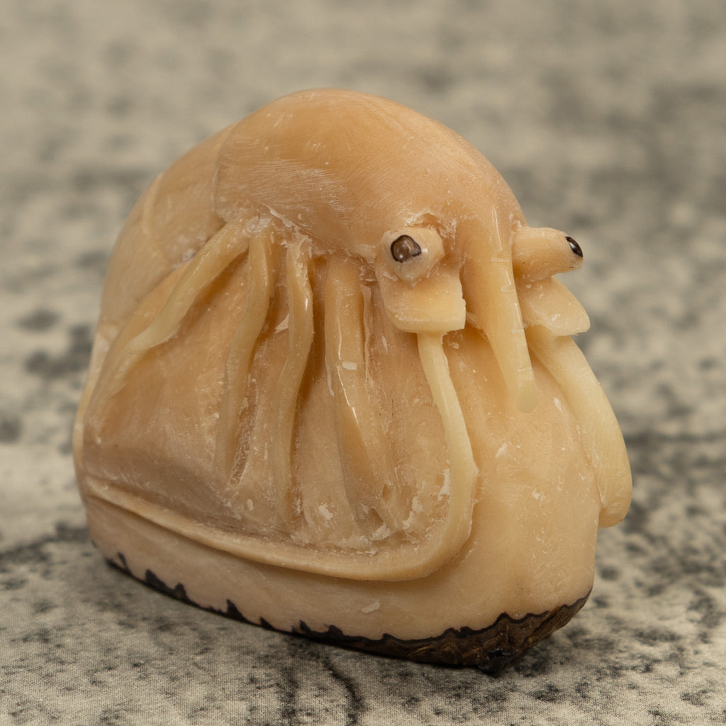 Vintage White Shrimp Tagua Carving