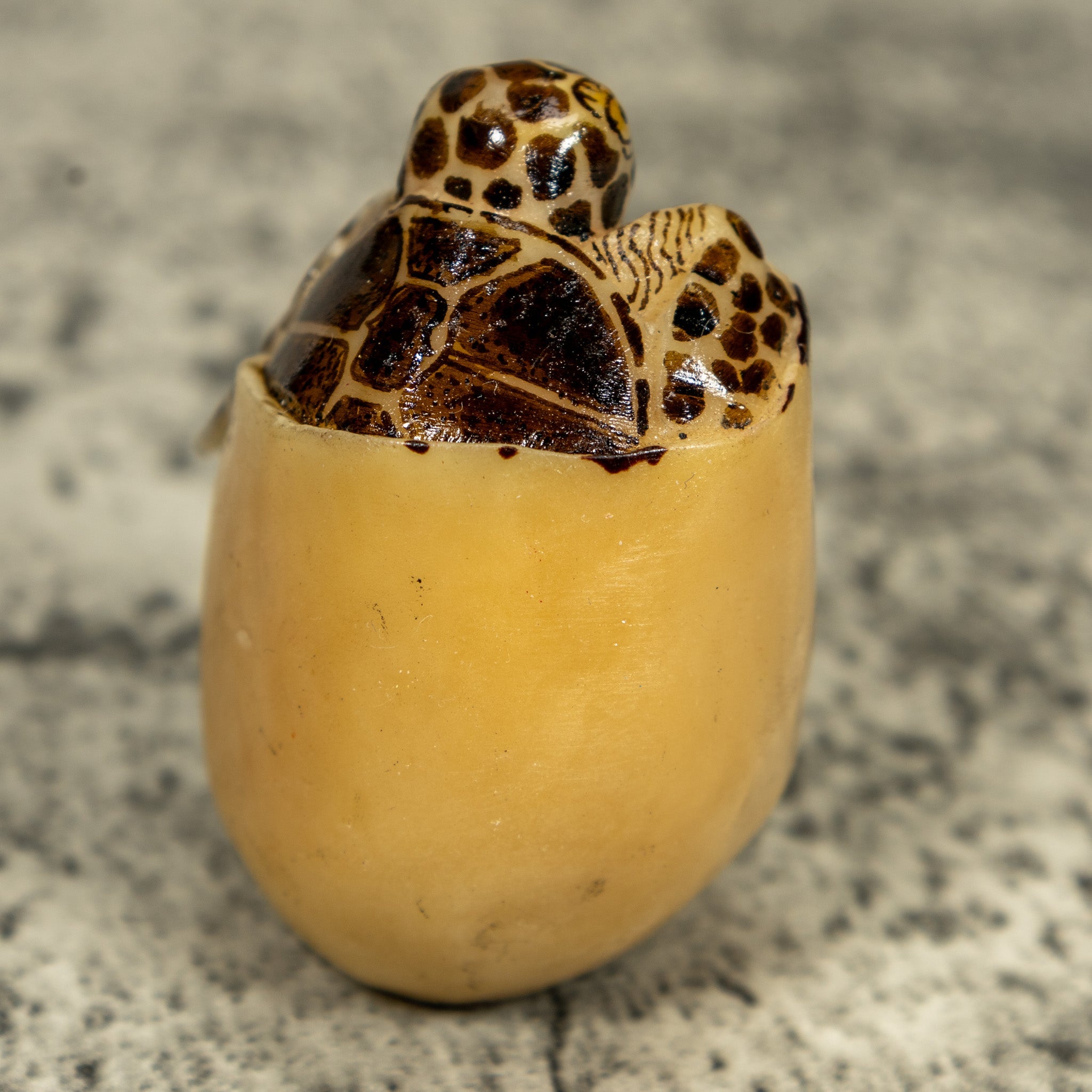 Vintage Sea Turtle Emerging From Egg Tagua Carving
