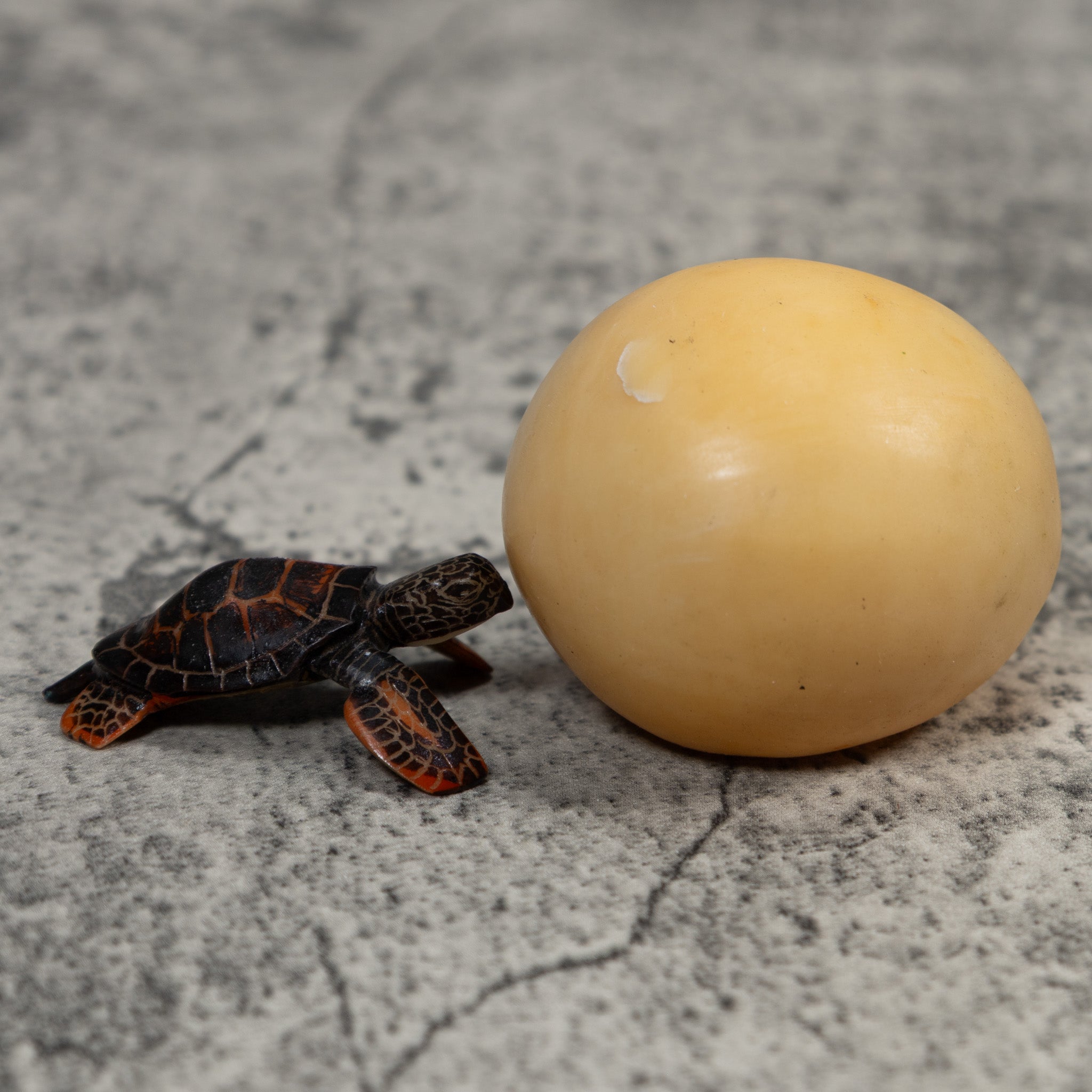 Sea Turtle Emerging From Egg Tagua Carving