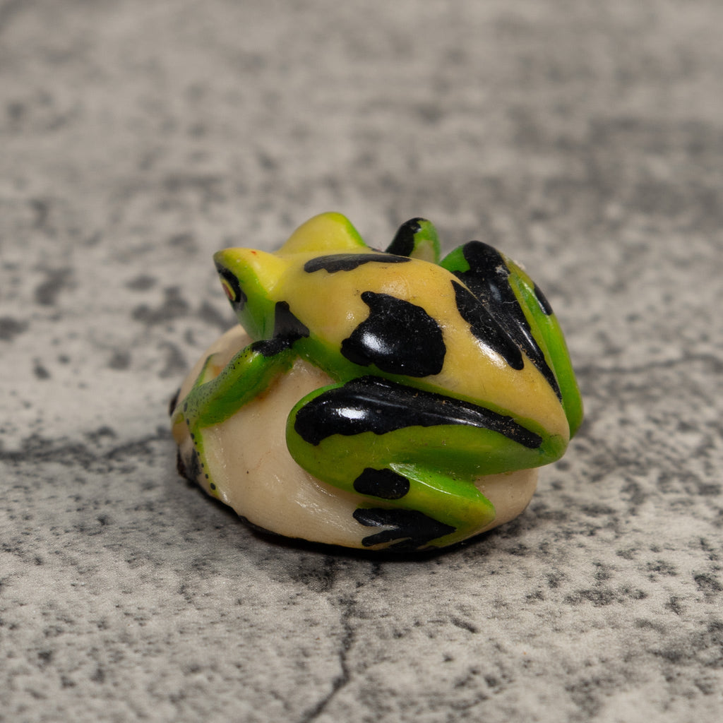 Black Green And Yellow Poison Dart Frog Tagua Carving