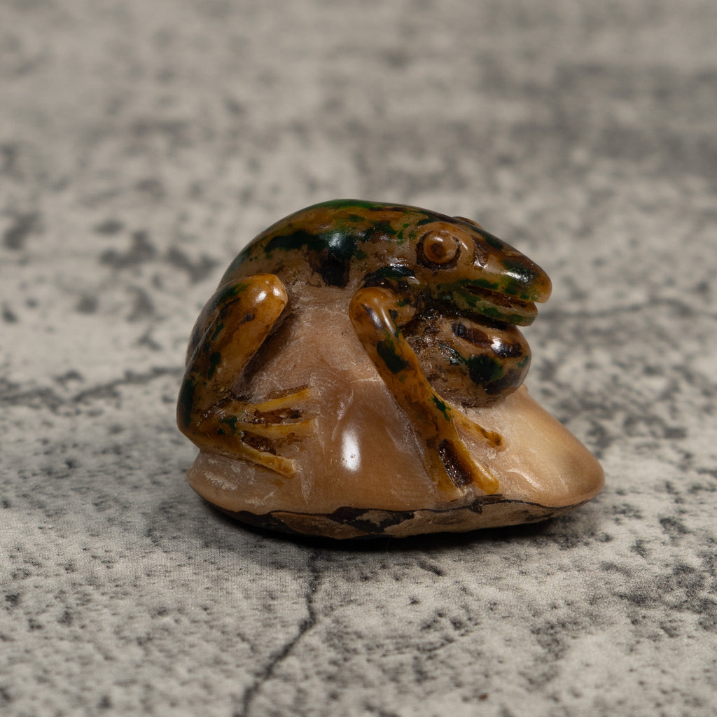 Vintage Brown Blowthroat Poison Dart Frog Tagua Carving