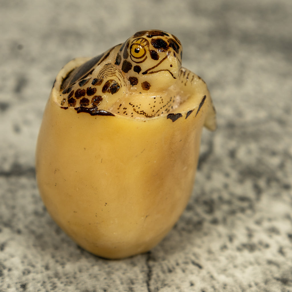 Vintage Sea Turtle Emerging From Egg Tagua Carving