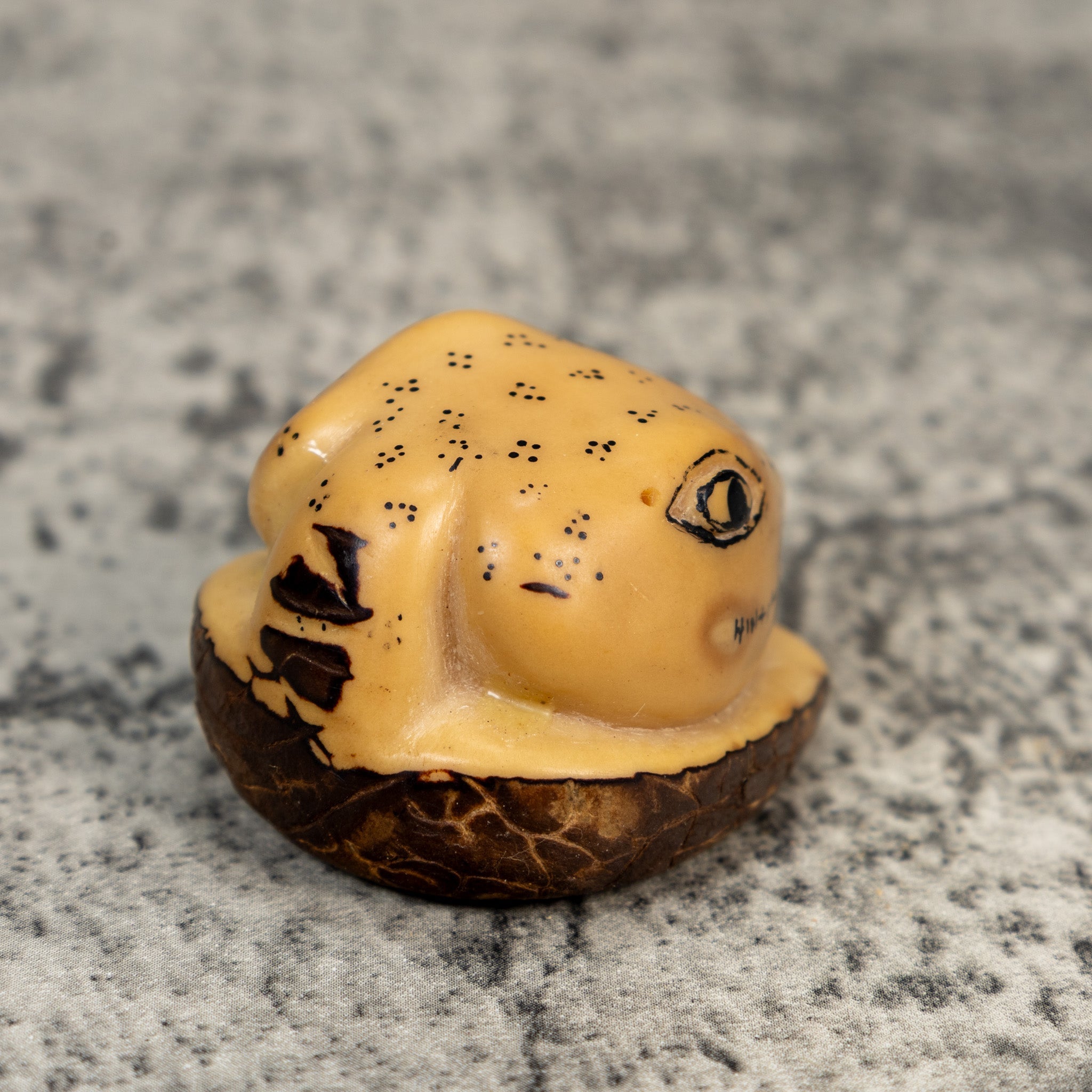 Natural White Snake Head Tagua Carving