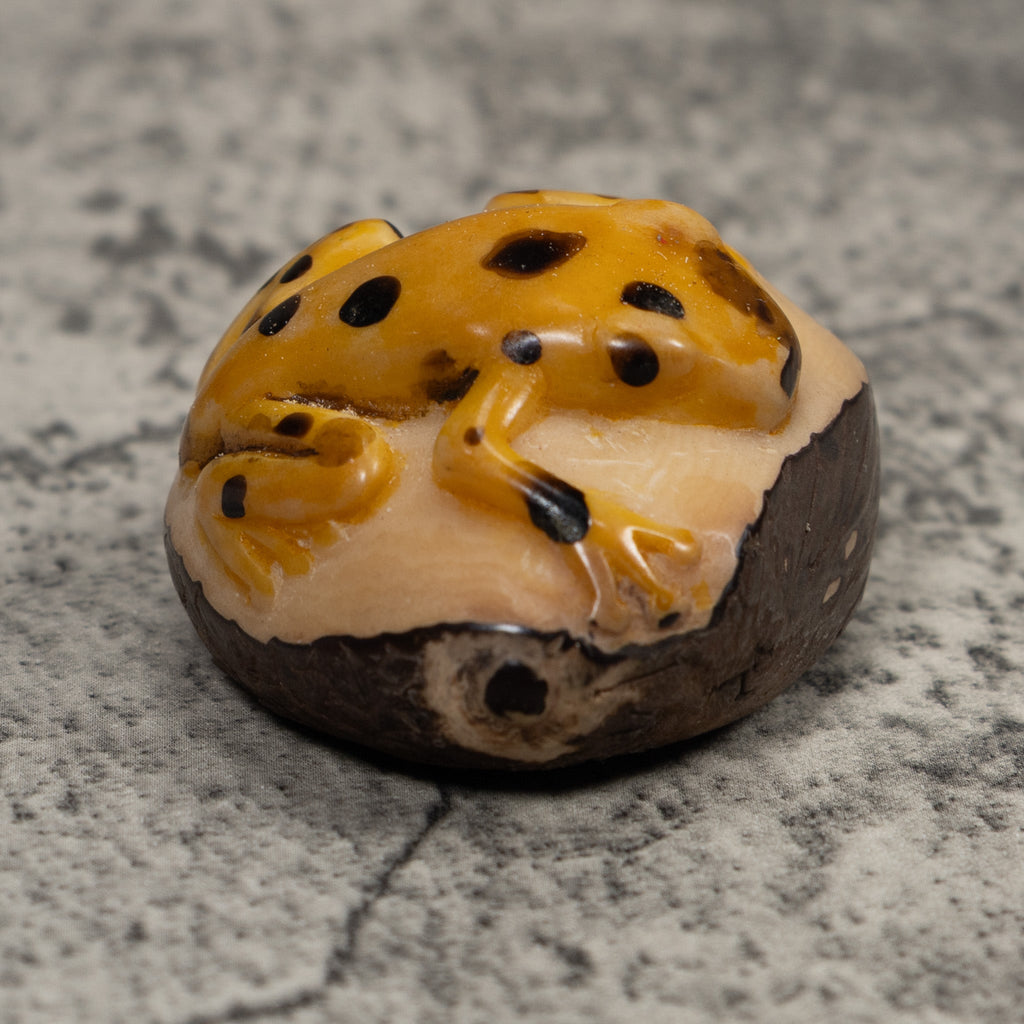 Vintage Black And Gold Frog Tagua Carving
