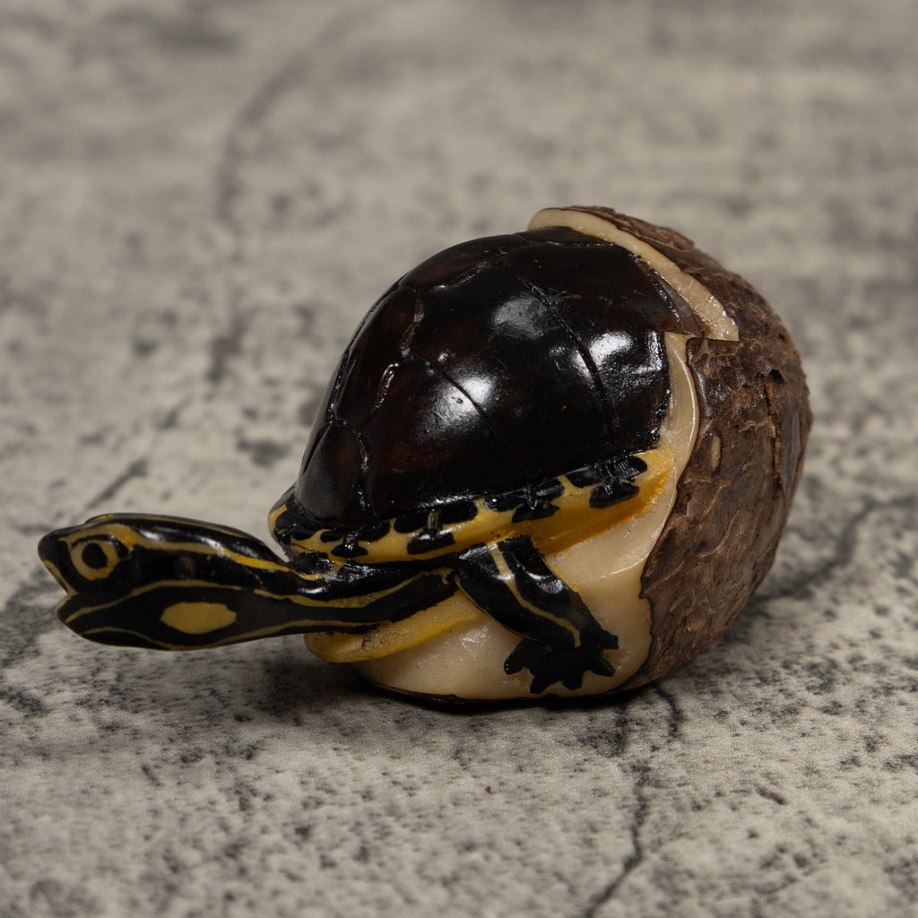 Tortise and Egg Tagua Carving