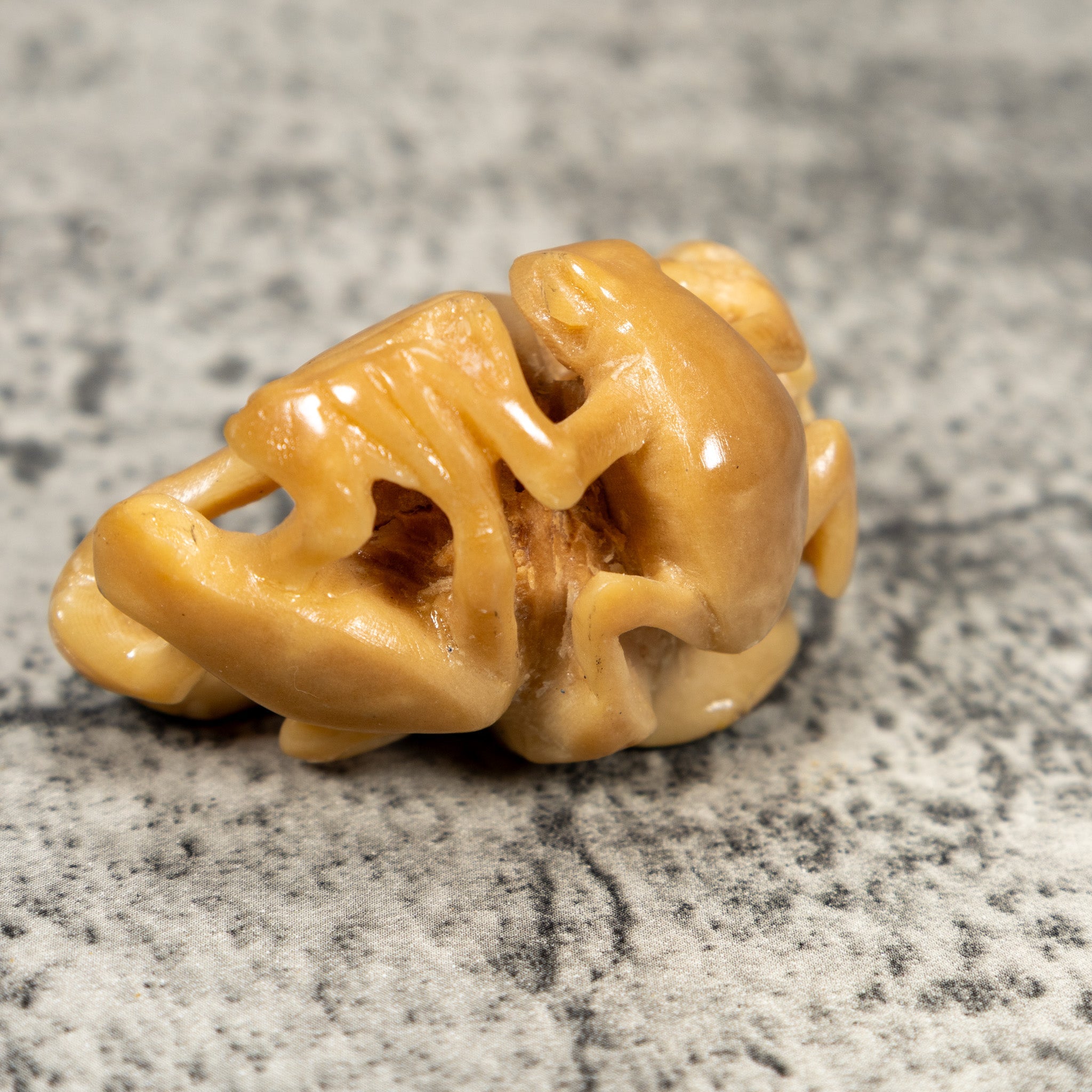 Multiple Natural White Frog Tagua Carving