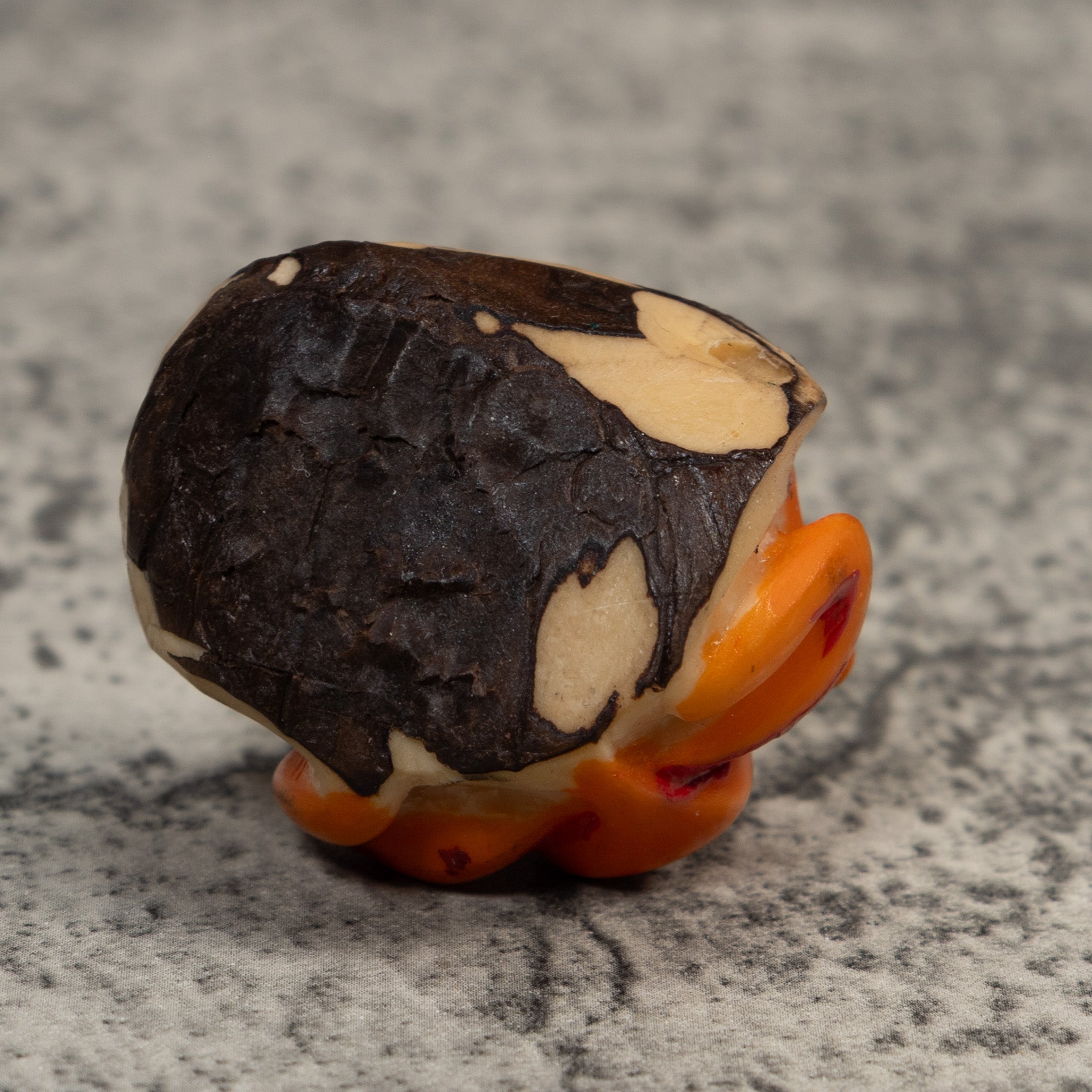 Orange Poison Dart Frog Tagua Carving