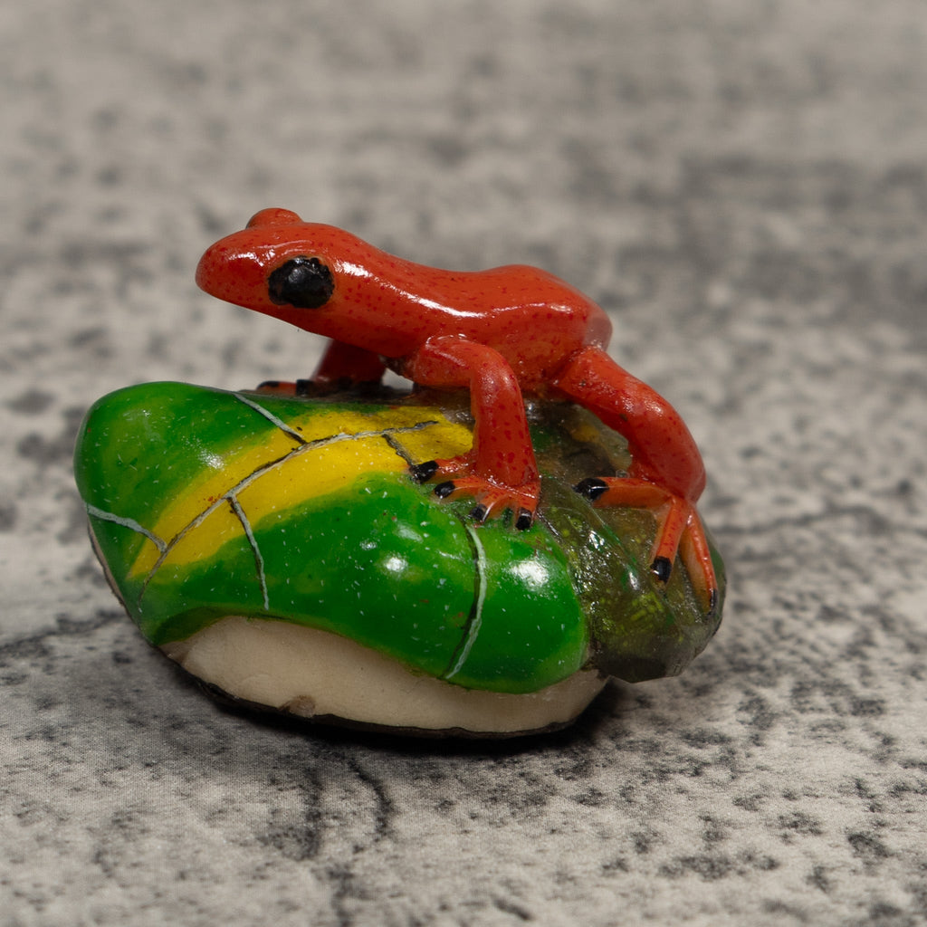 Orange Black-Eyed Poison Dart Frog Tagua Carving