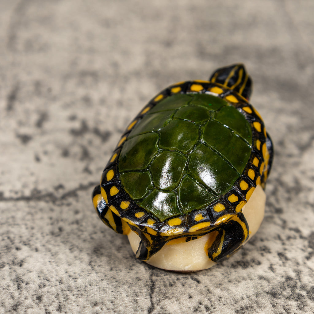 Green Yellow Tortoise Turtle Tagua Carving