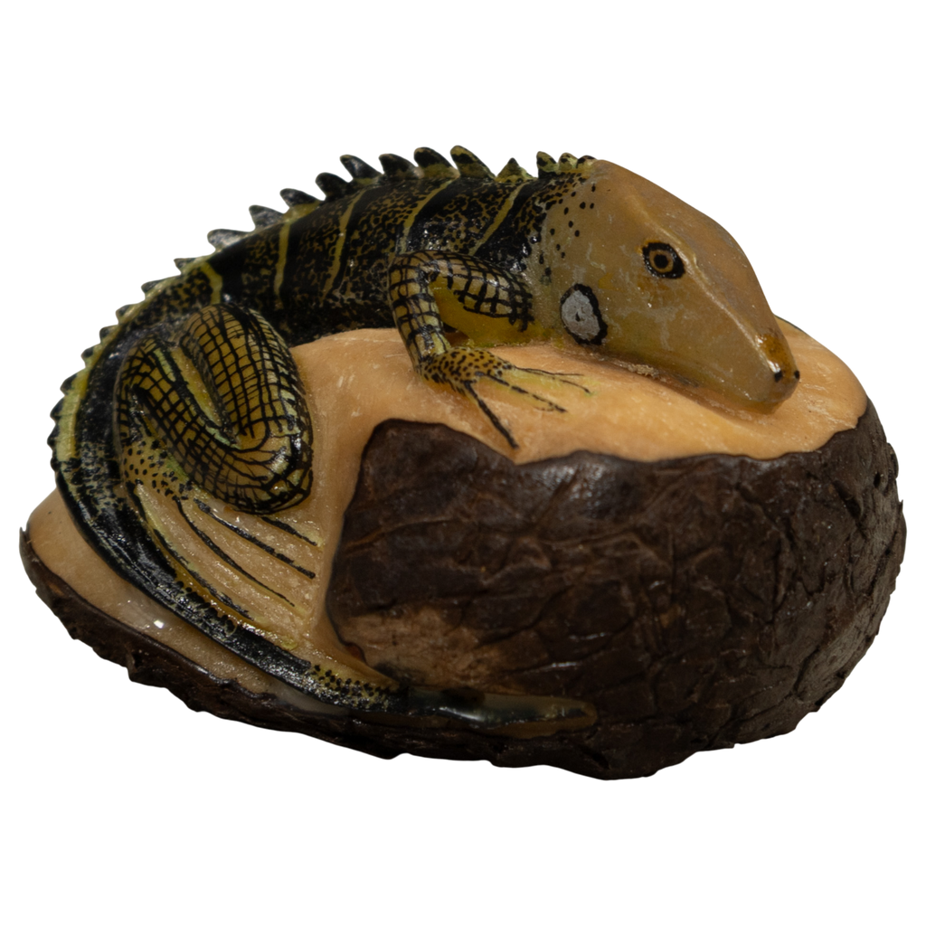 Iguana Lizard Tagua Carving