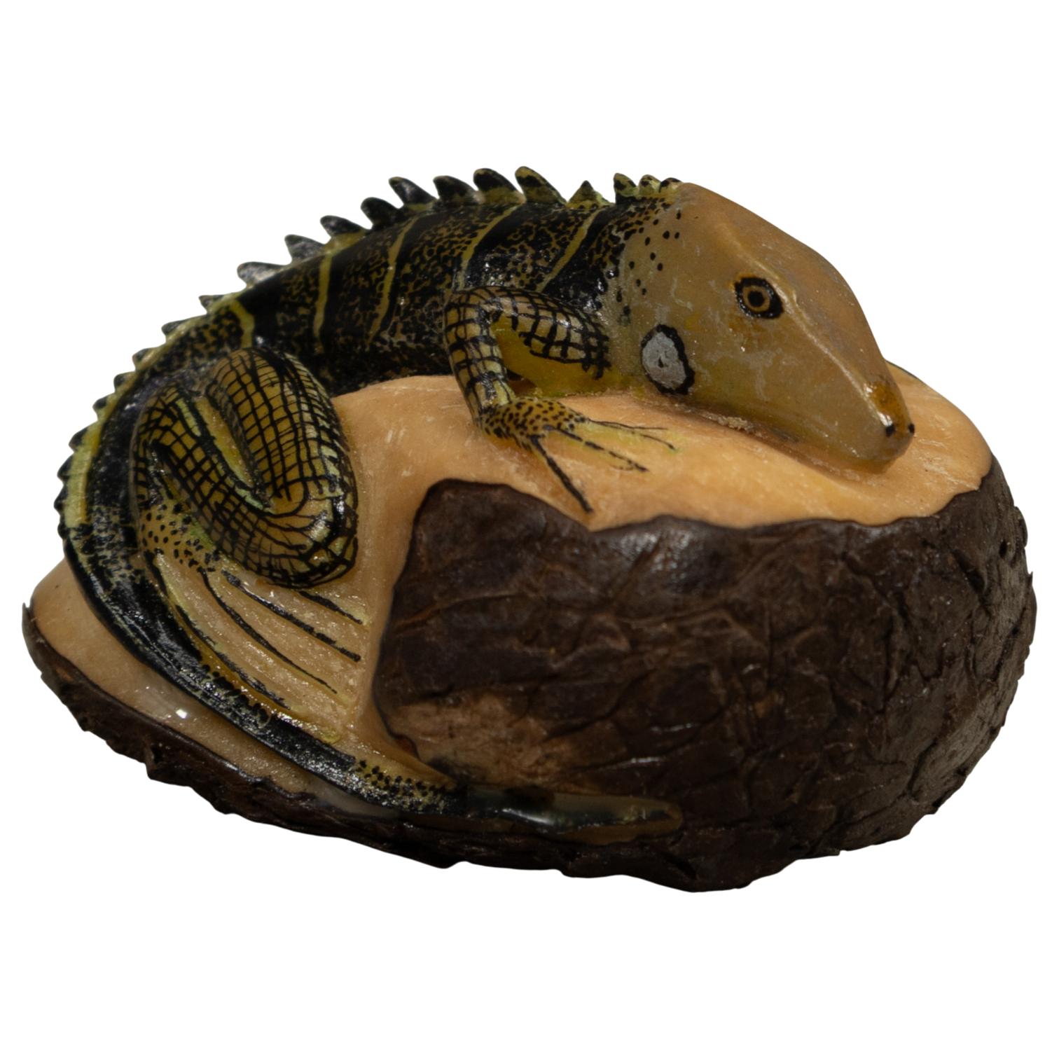 Iguana Lizard Tagua Carving