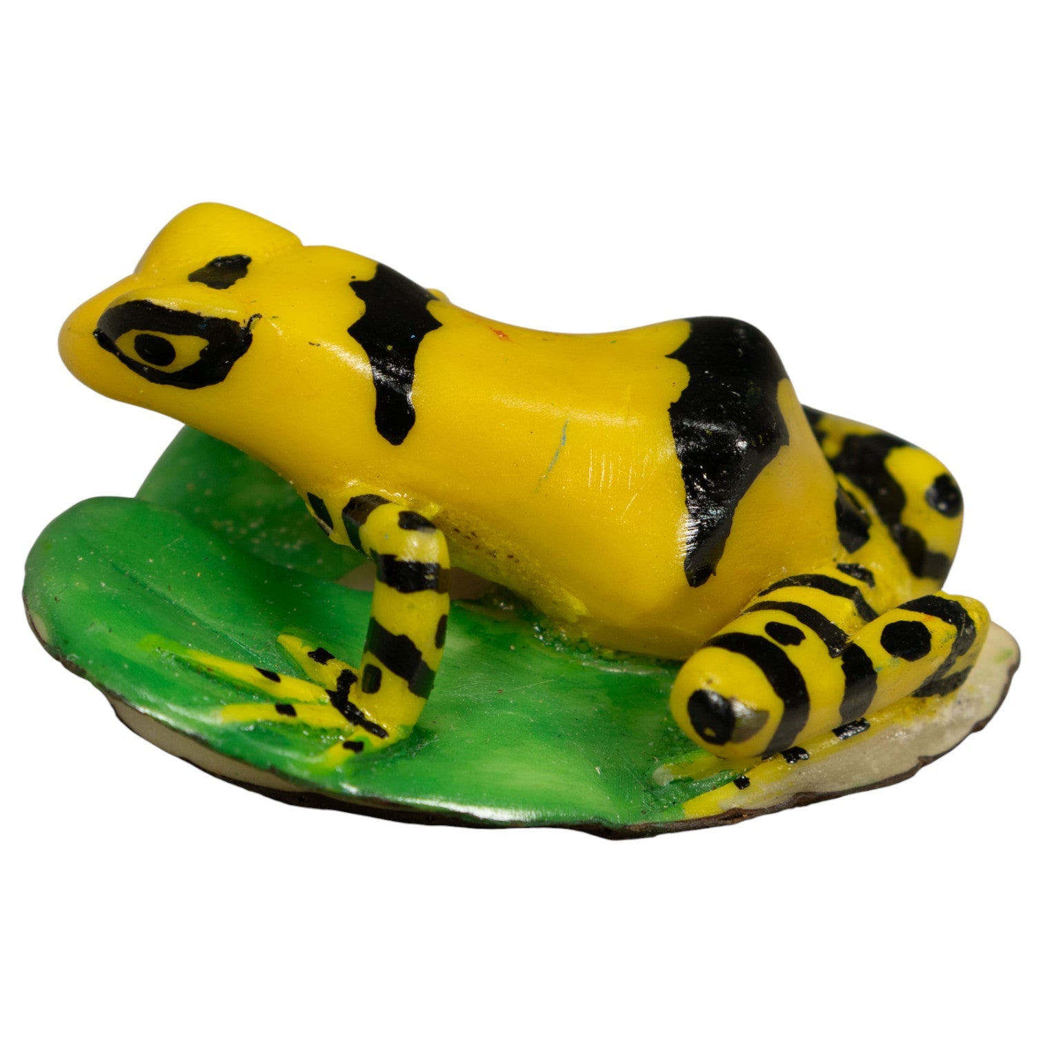 Golden Frog Tagua Carving