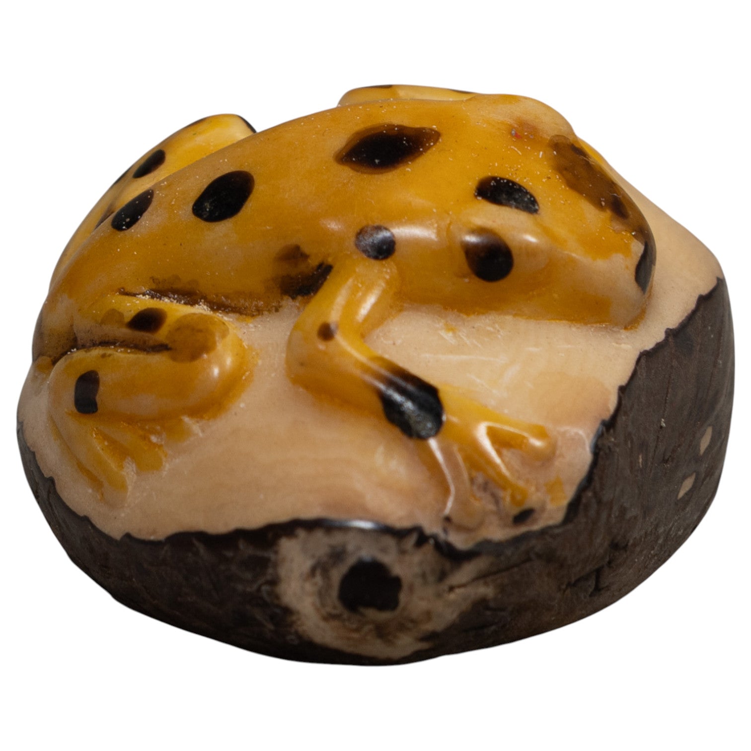 Vintage Black And Gold Frog Tagua Carving