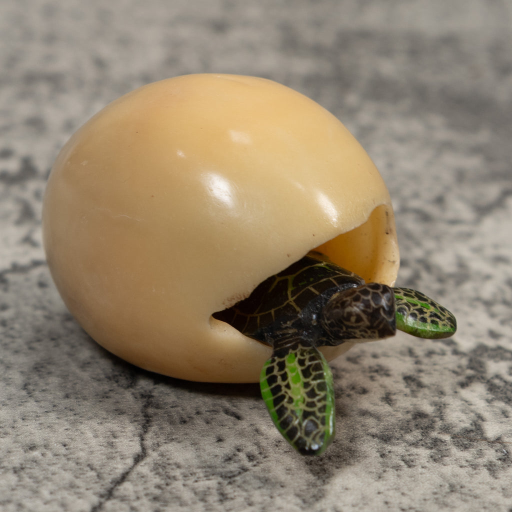 Sea Turtle Emerging From Egg Tagua Carving