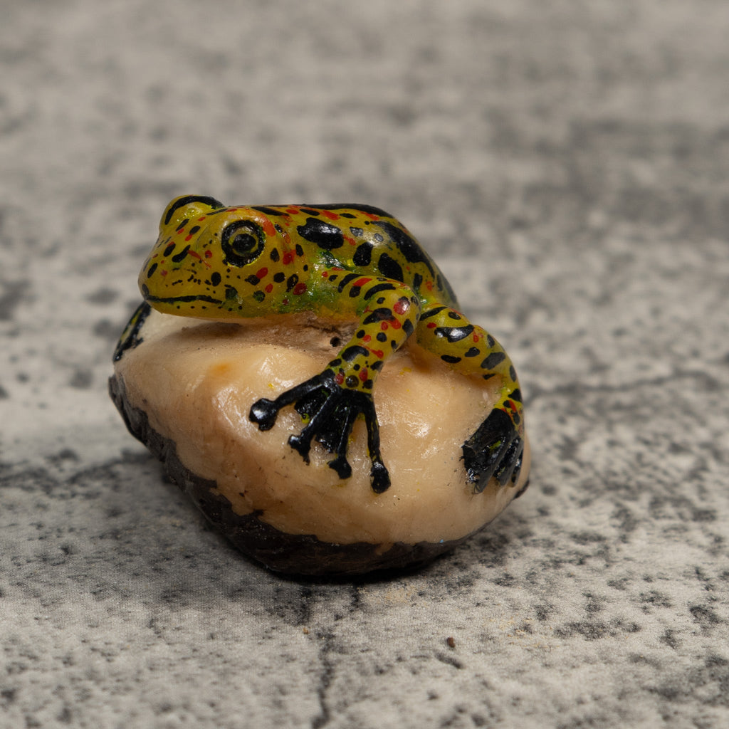 Vintage Spotted Poison Dart Frog Tagua Carving
