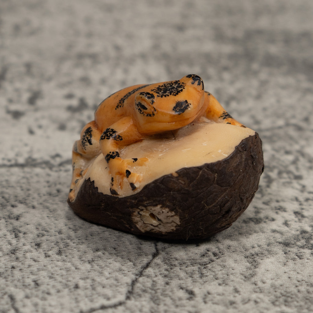 Vintage Black And Gold Frog Tagua Carving