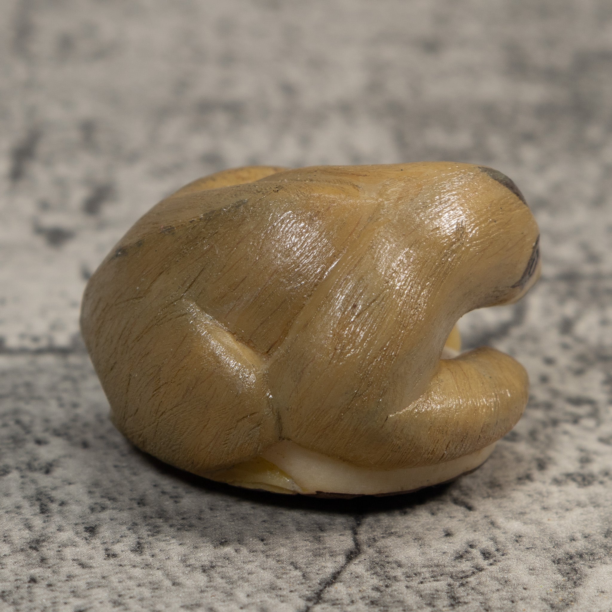 Brown Tan Sloth Tagua Carving