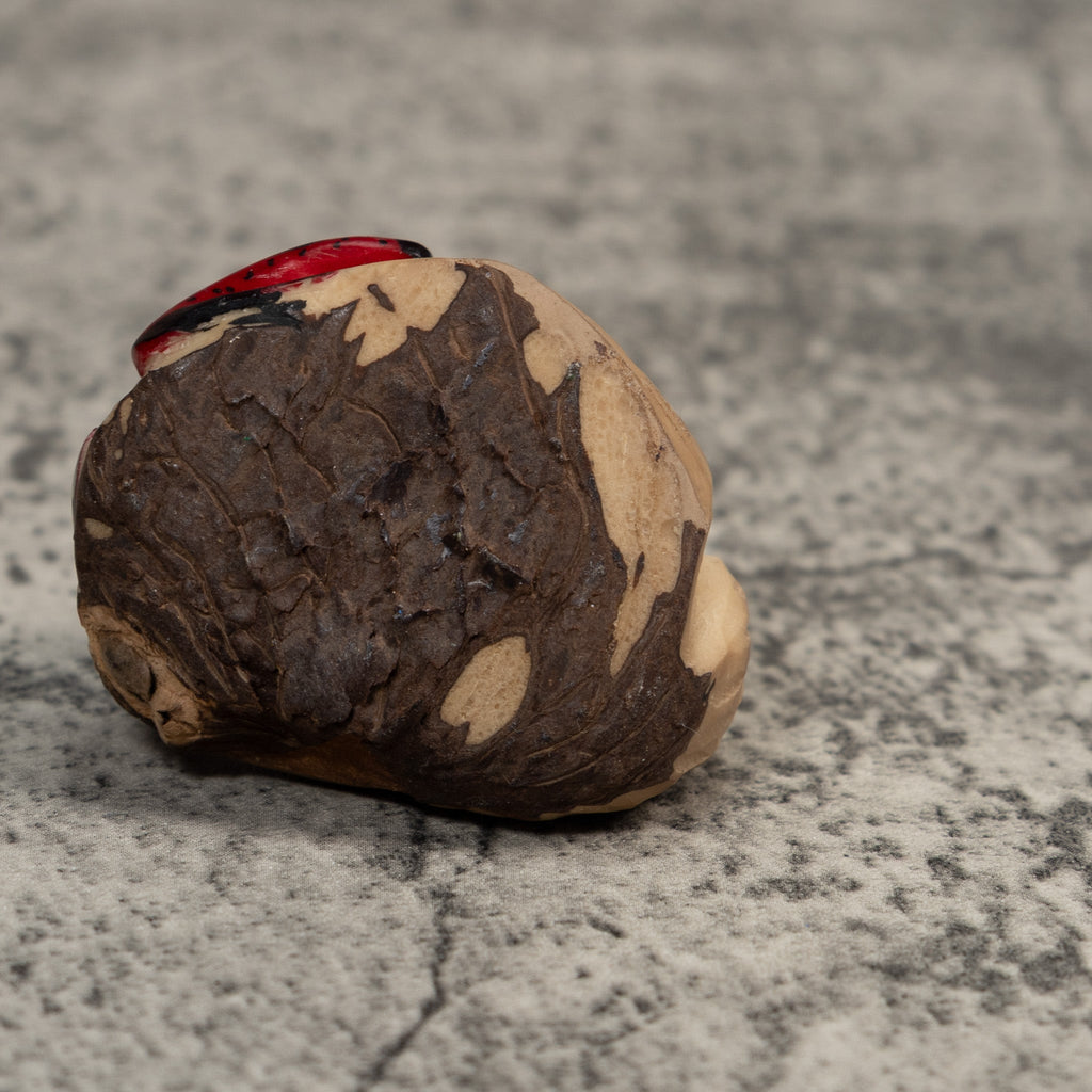 Red And Black Poison Dart Frog Tagua Carving