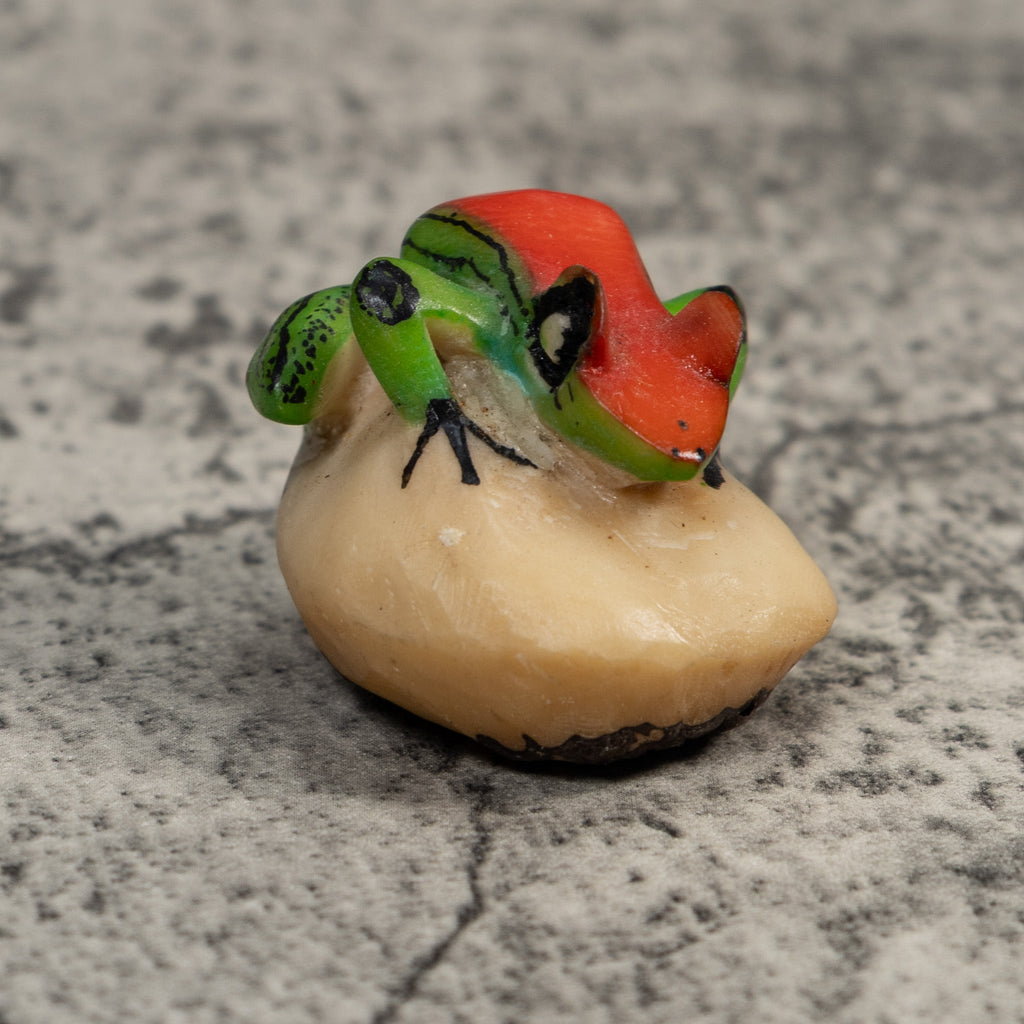 Vintage Red Green And Black Frog Tagua Carving
