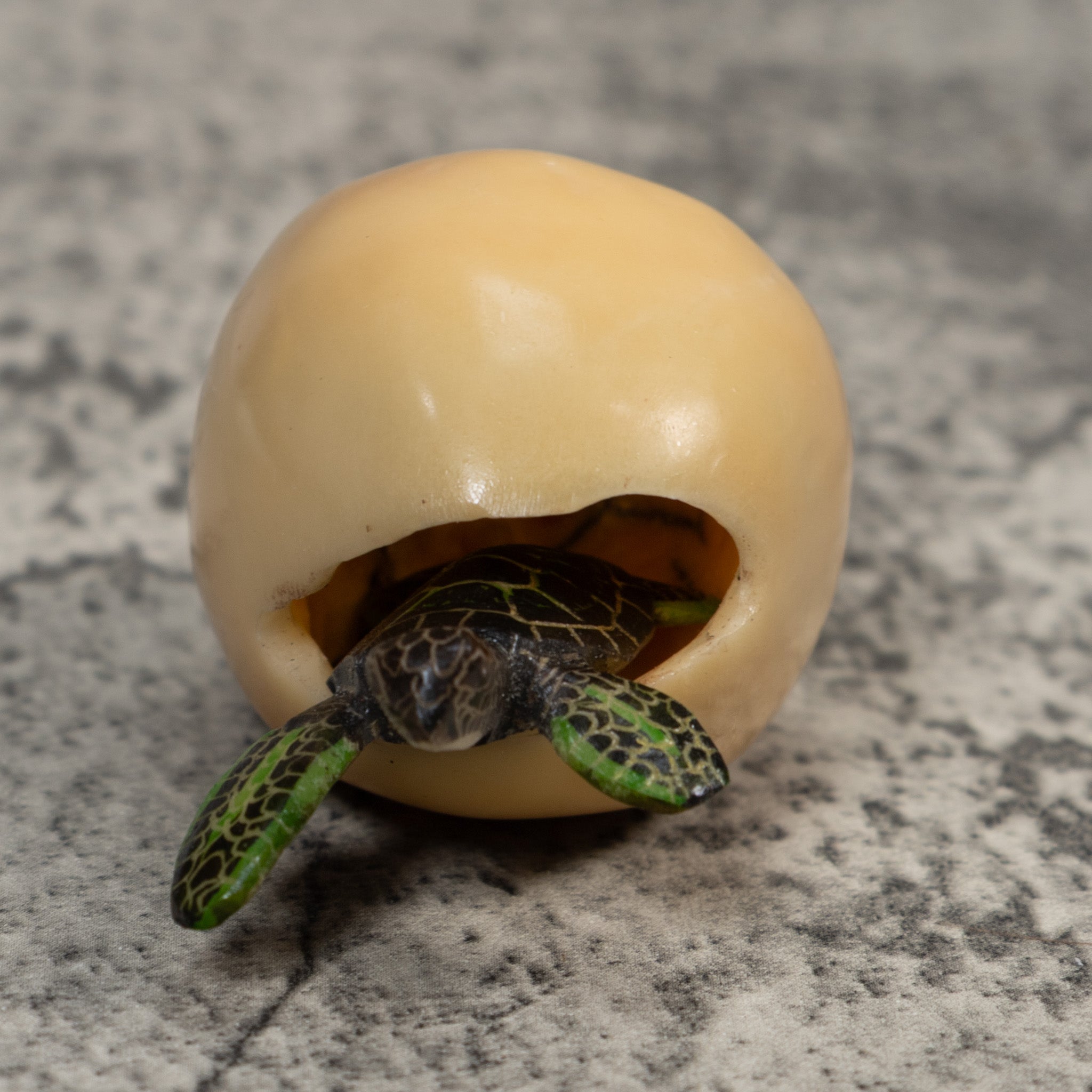 Sea Turtle Emerging From Egg Tagua Carving