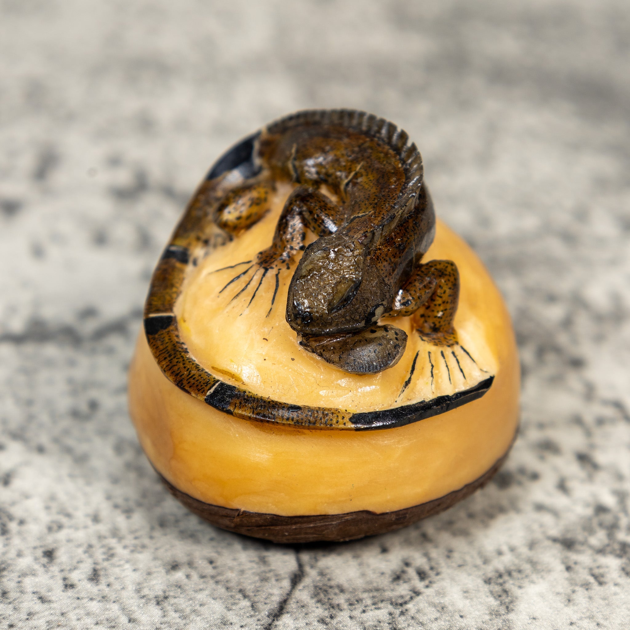Brown And Black Iguana Lizard Tagua Carving