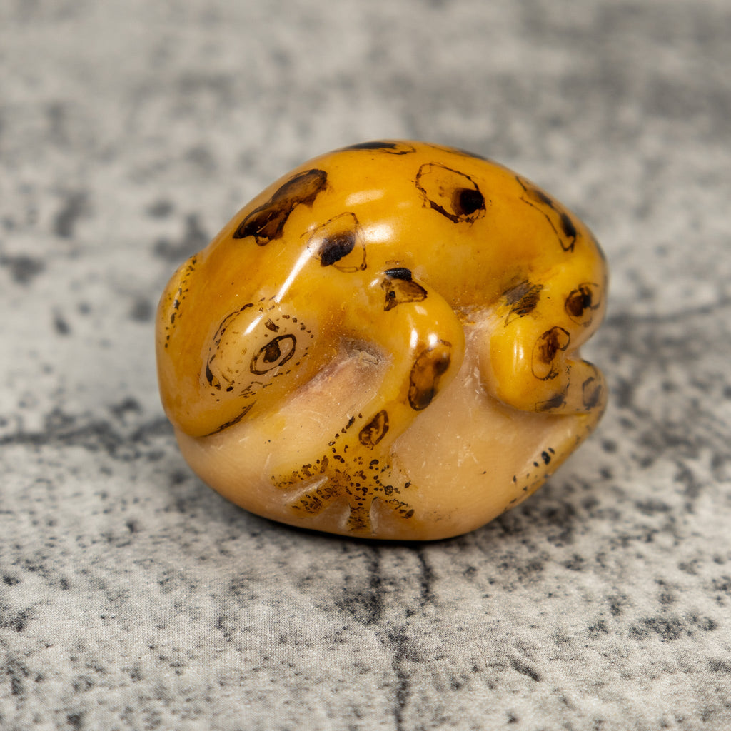 Vintage Black And Gold Frog Tagua Carving