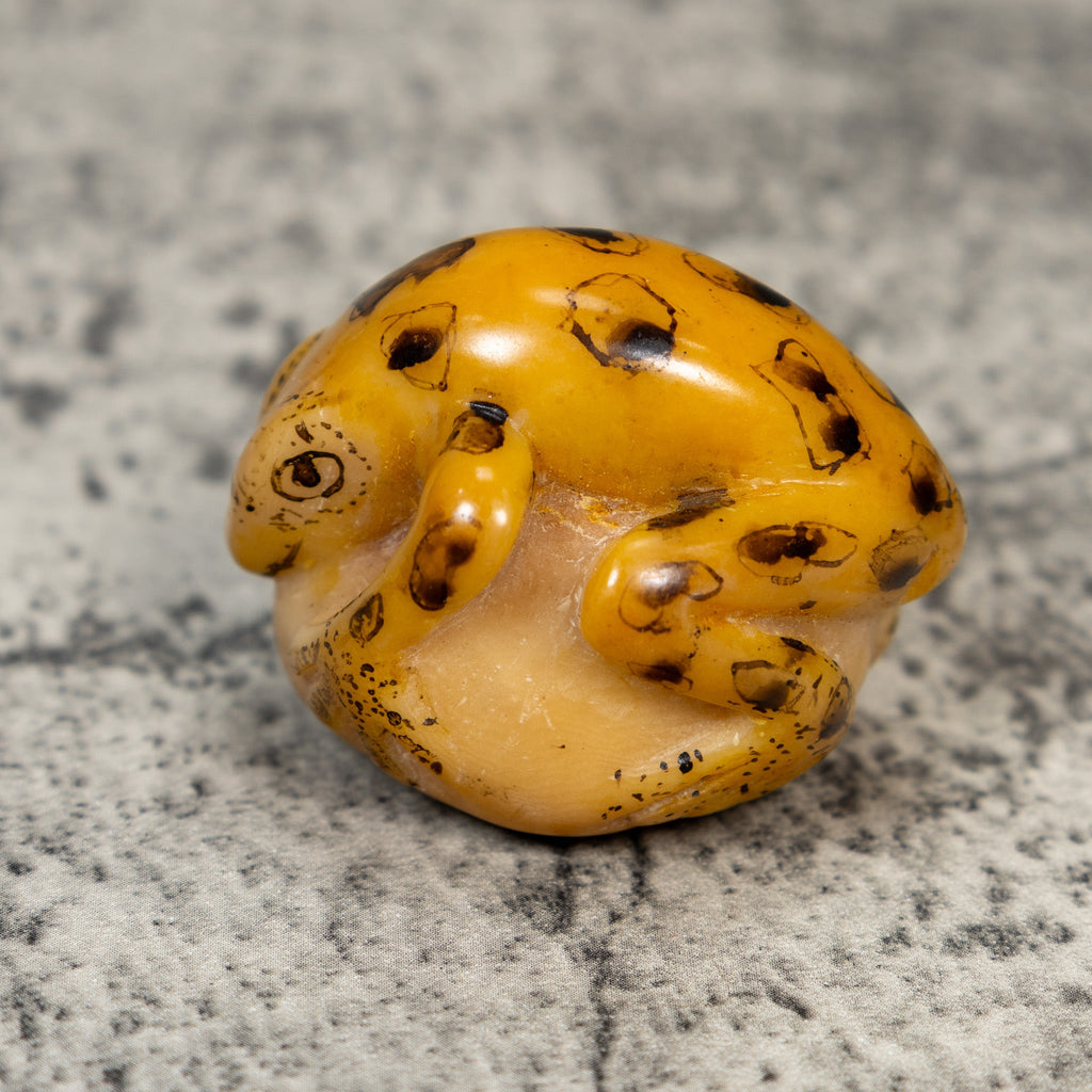 Vintage Black And Gold Frog Tagua Carving