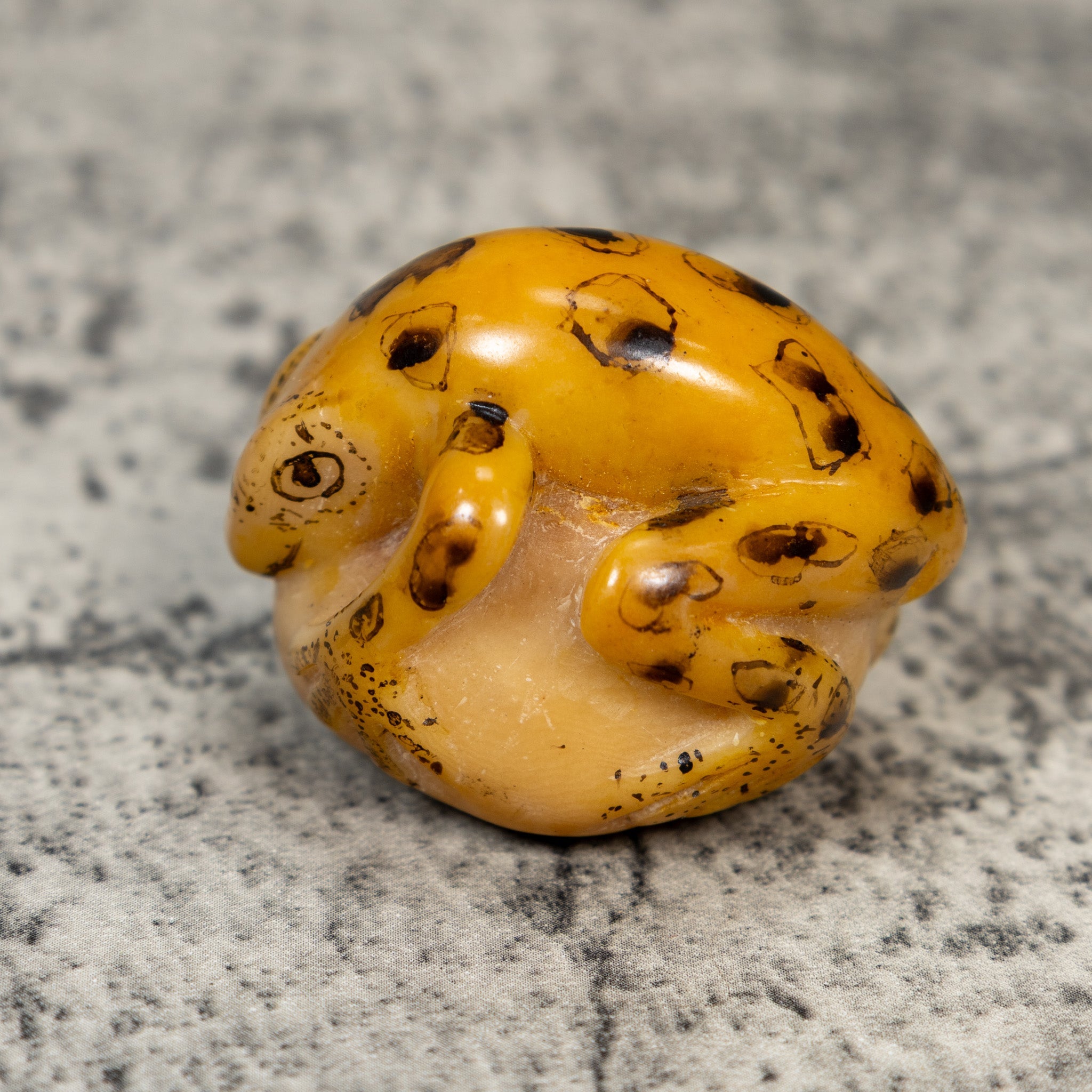 Vintage Black And Gold Frog Tagua Carving