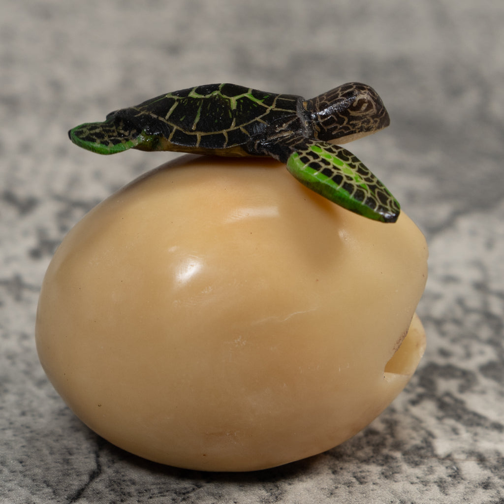Sea Turtle Emerging From Egg Tagua Carving