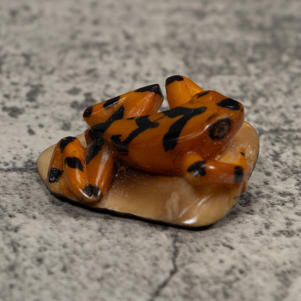 Vintage Orange And Black Frog Tagua Carving