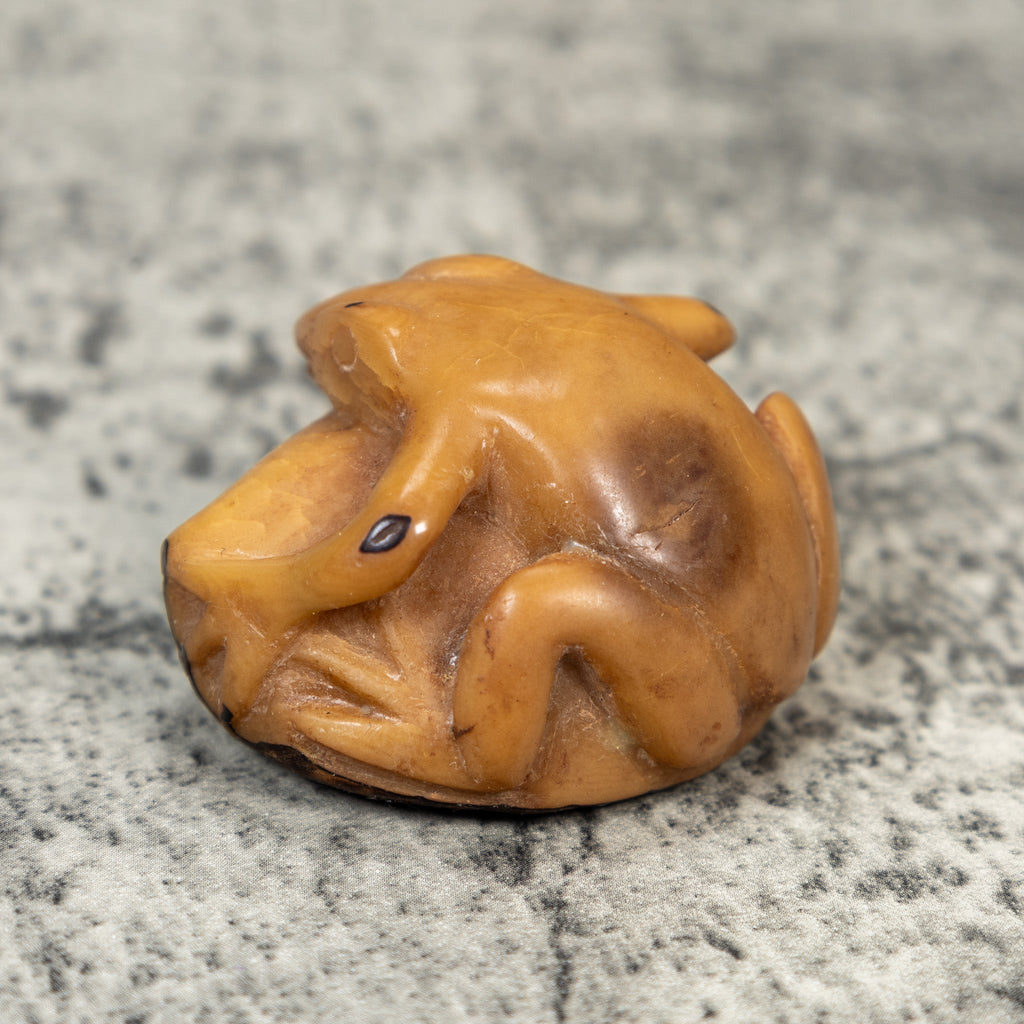 Vintage Dyed Frog Tagua Carving