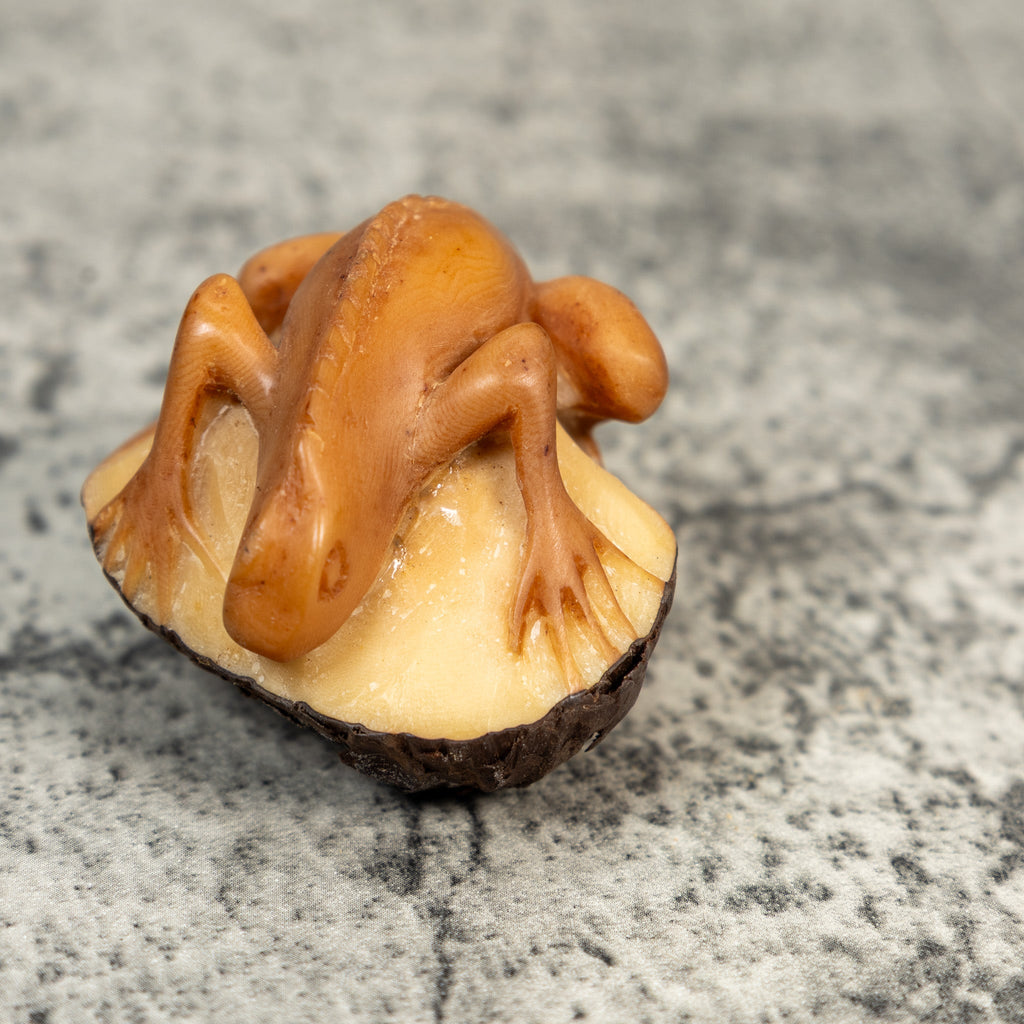 Vintage Dyed Iguana Lizard Tagua Carving
