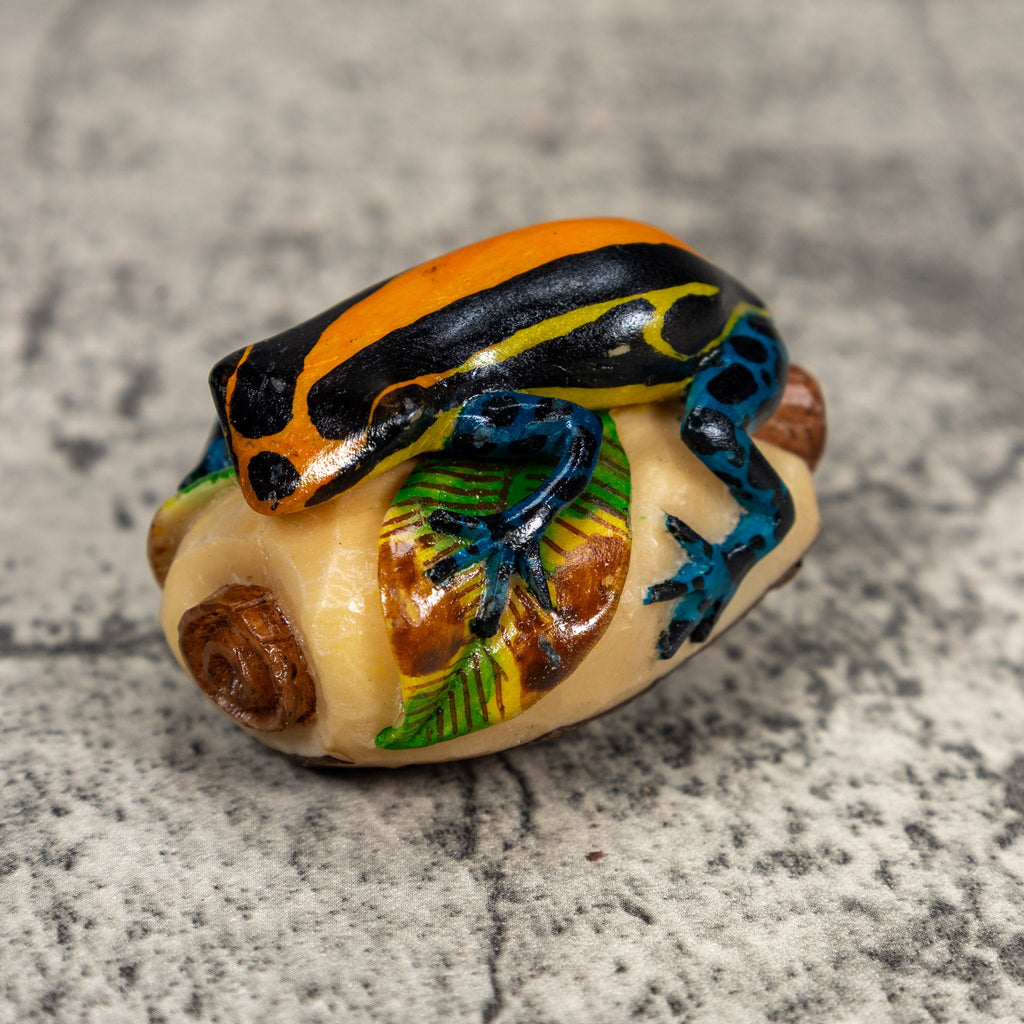 Black Orange Yellow And Blue Poison Dart Frog Tagua Carving