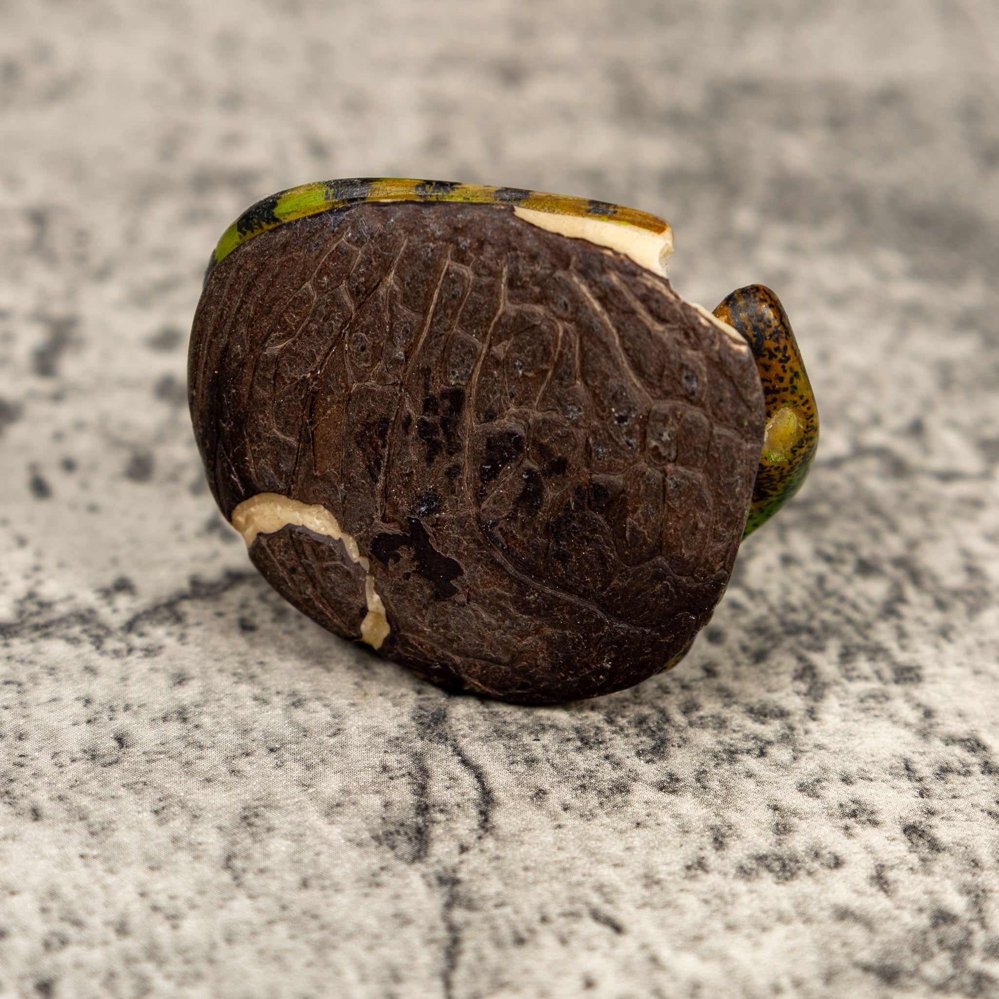 Green Iguana Lizard Tagua Carving