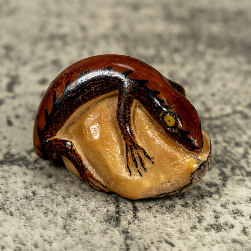 Vintage Black And Brown Gecko Lizard Tagua Carving