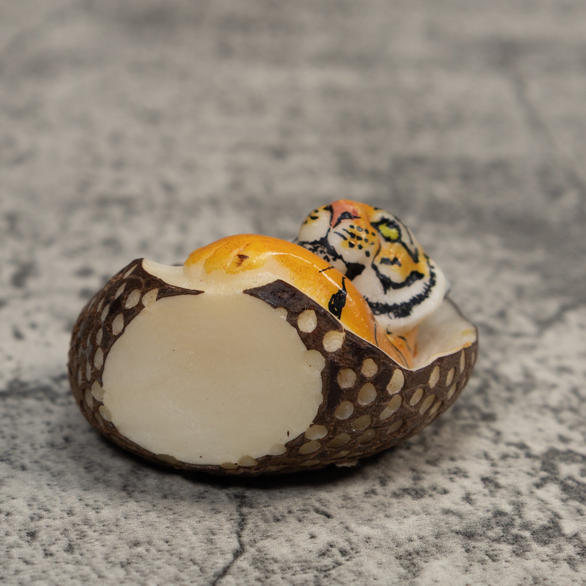 Orange And Black Bengal Tiger in Cave Tagua Carving