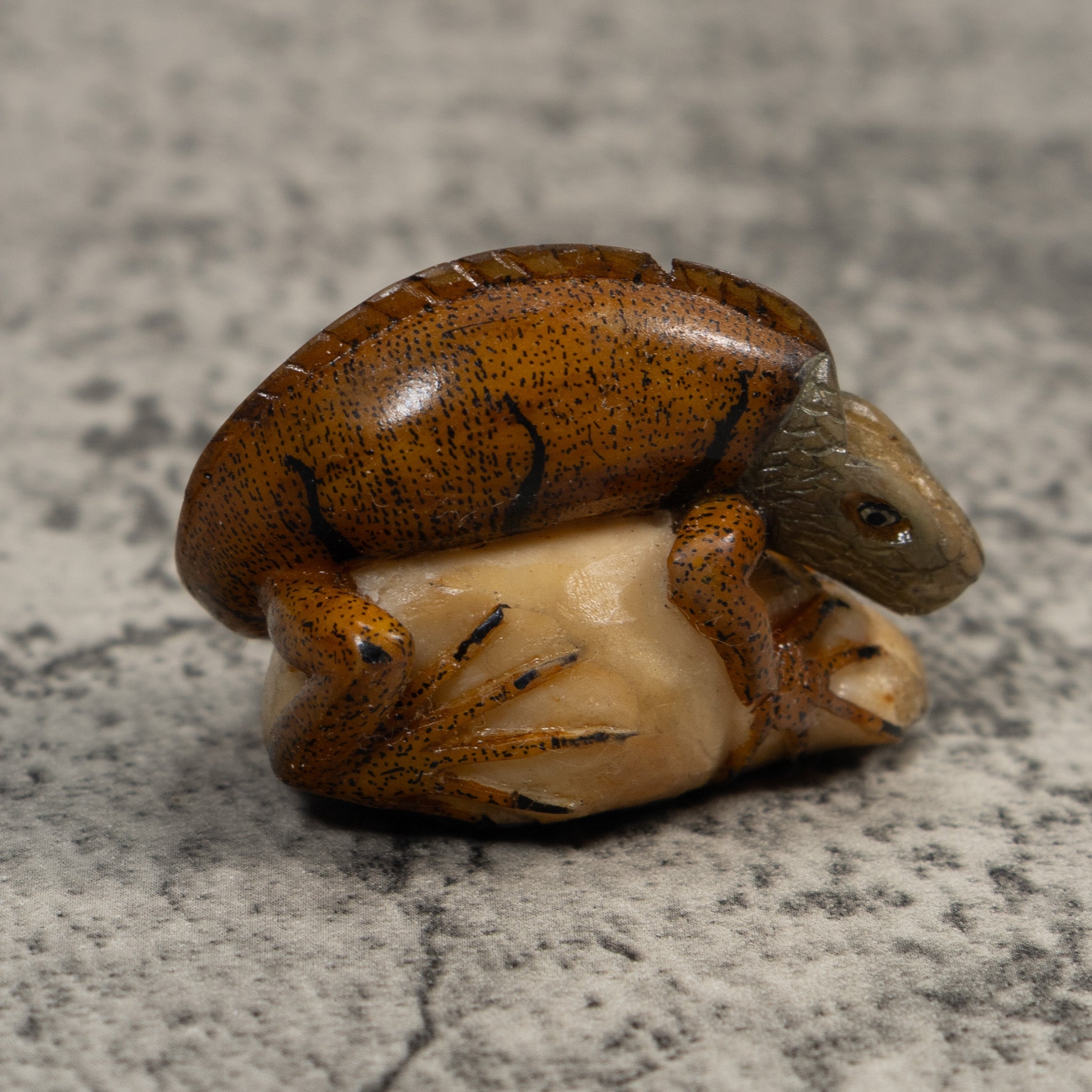Vintage Brown Iguana Lizard Tagua Carving