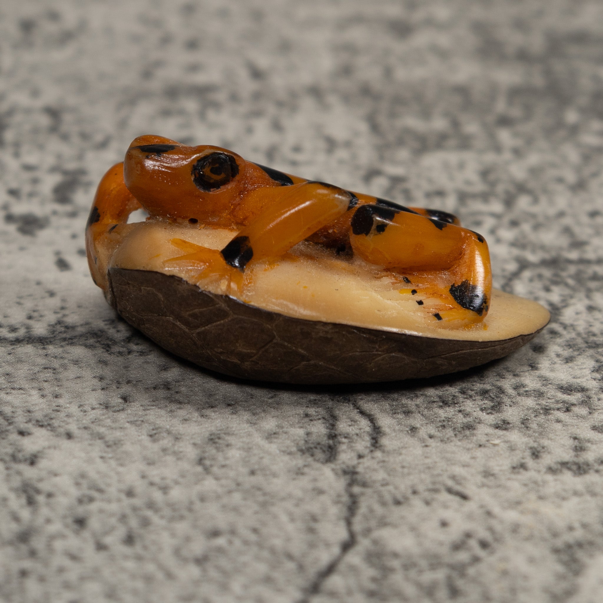 Vintage Orange And Black Frog Tagua Carving