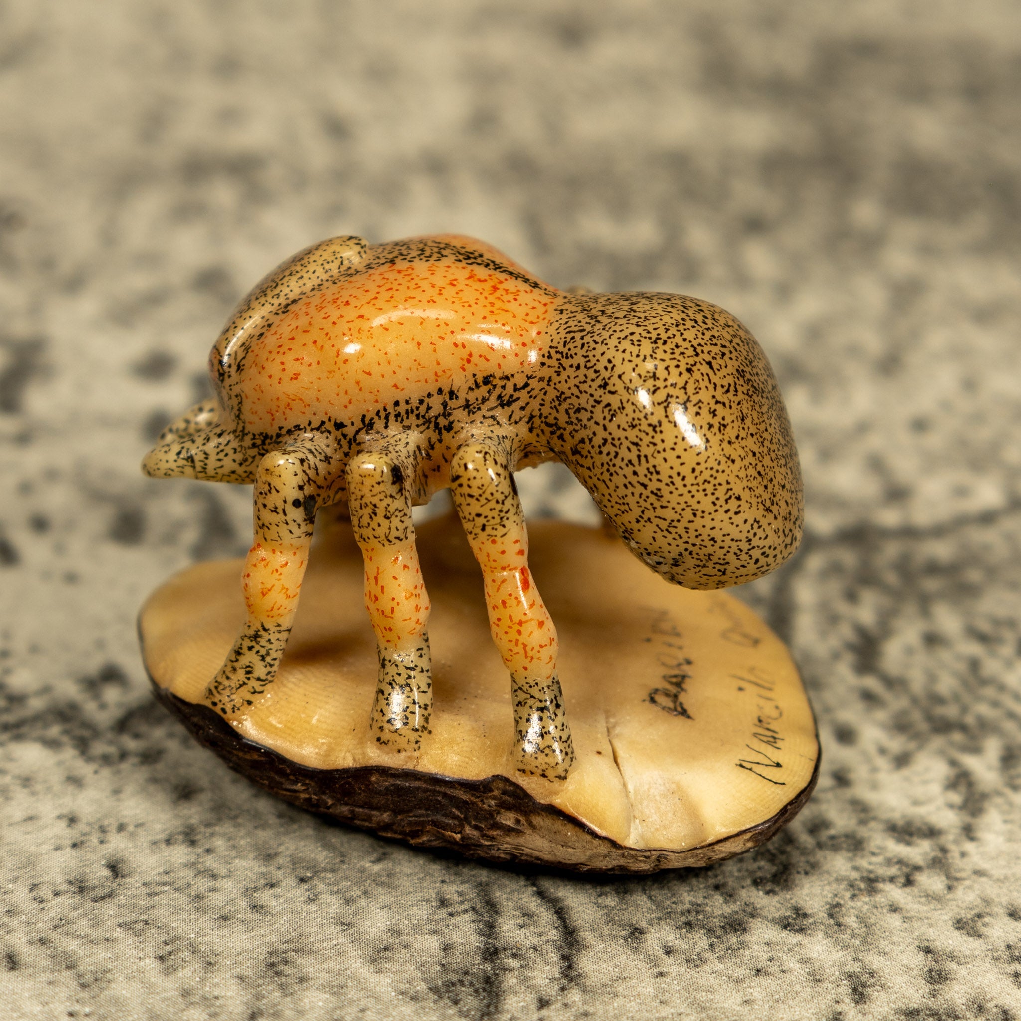 Vintage Undercut Ant Insect Tagua Carving