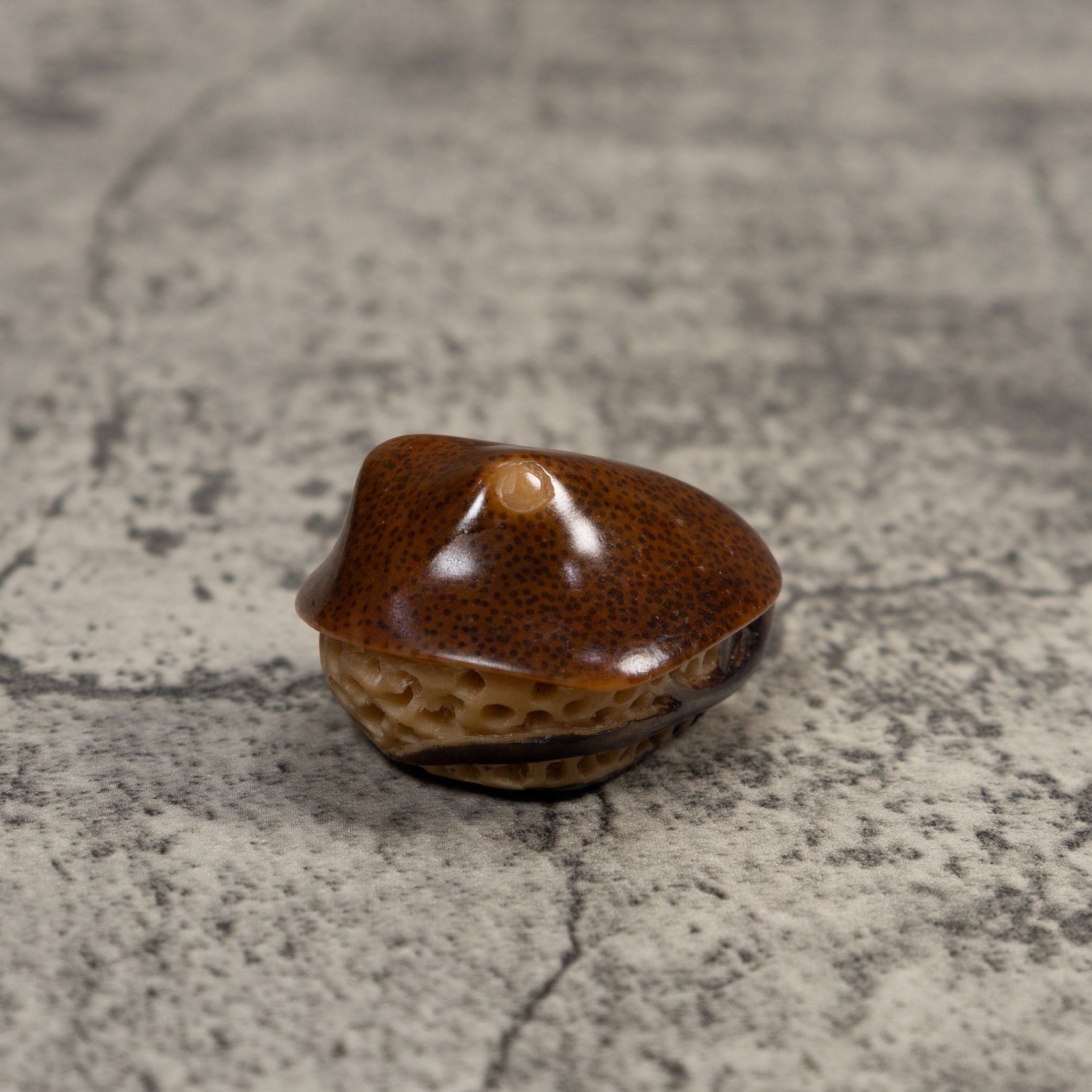 Vintage Stingray Fish Tagua Carving
