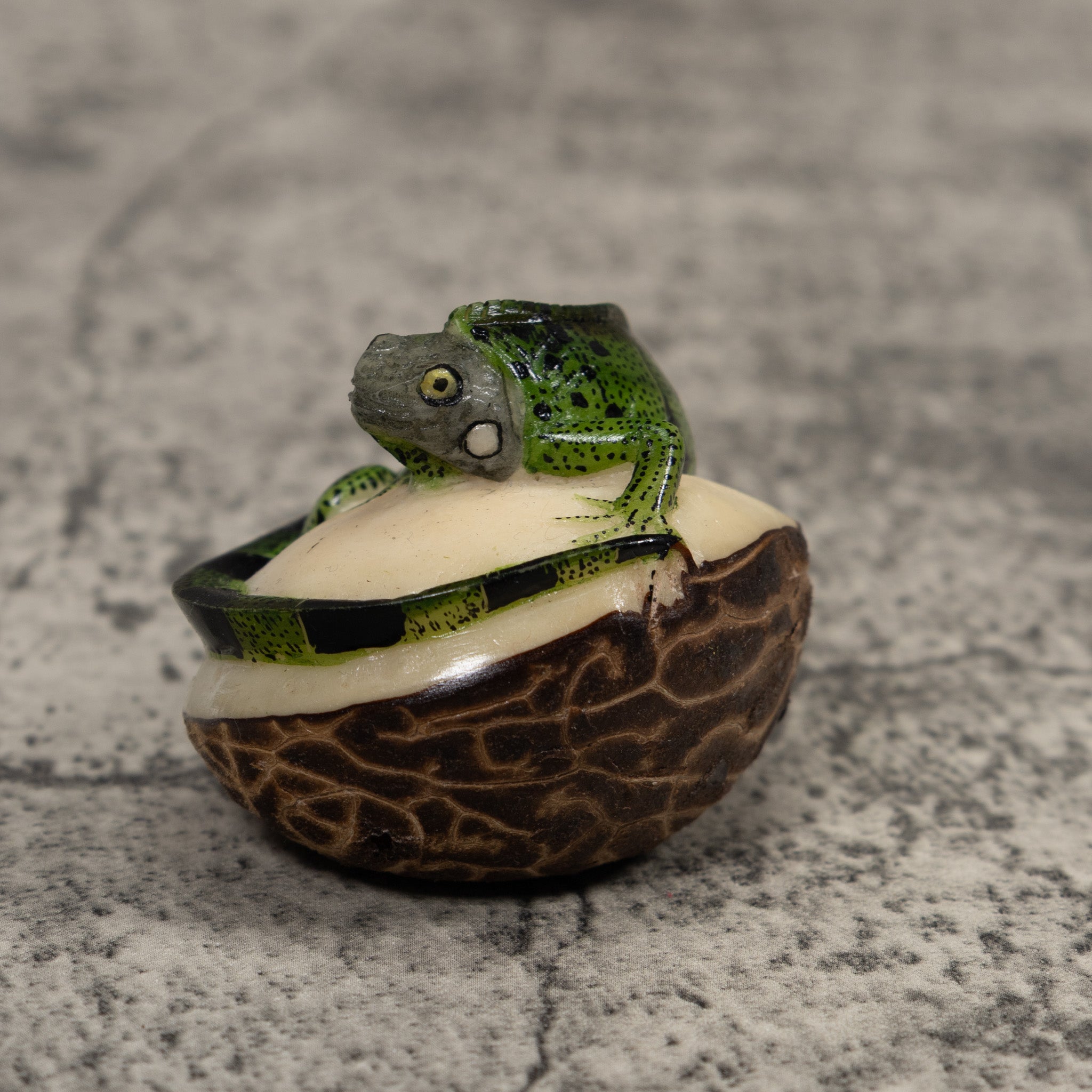 Iguana Lizard Reptile Tagua Carving