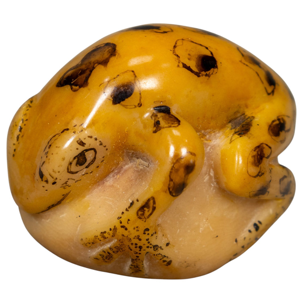 Vintage Black And Gold Frog Tagua Carving