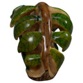 Rainforest Foliage Tagua Carving