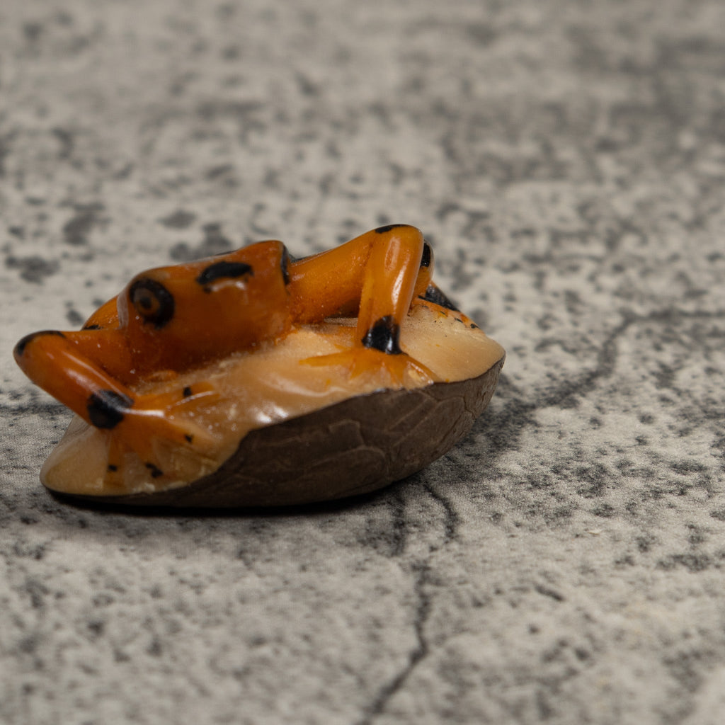 Vintage Orange And Black Frog Tagua Carving
