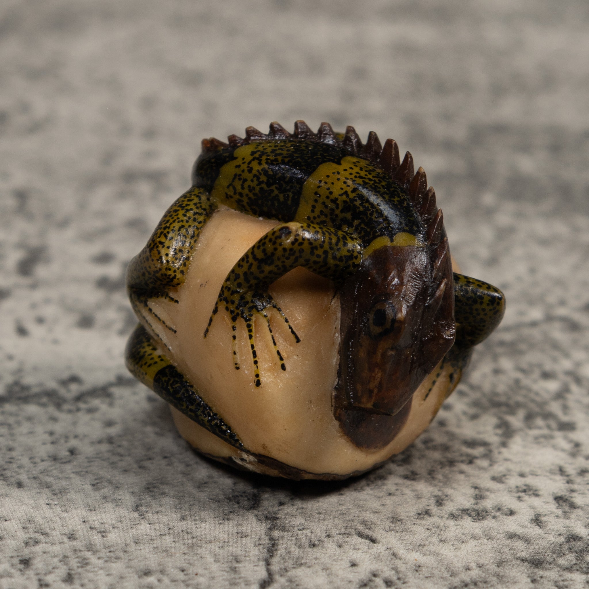 Black And Green Iguana Lizard Tagua Carving