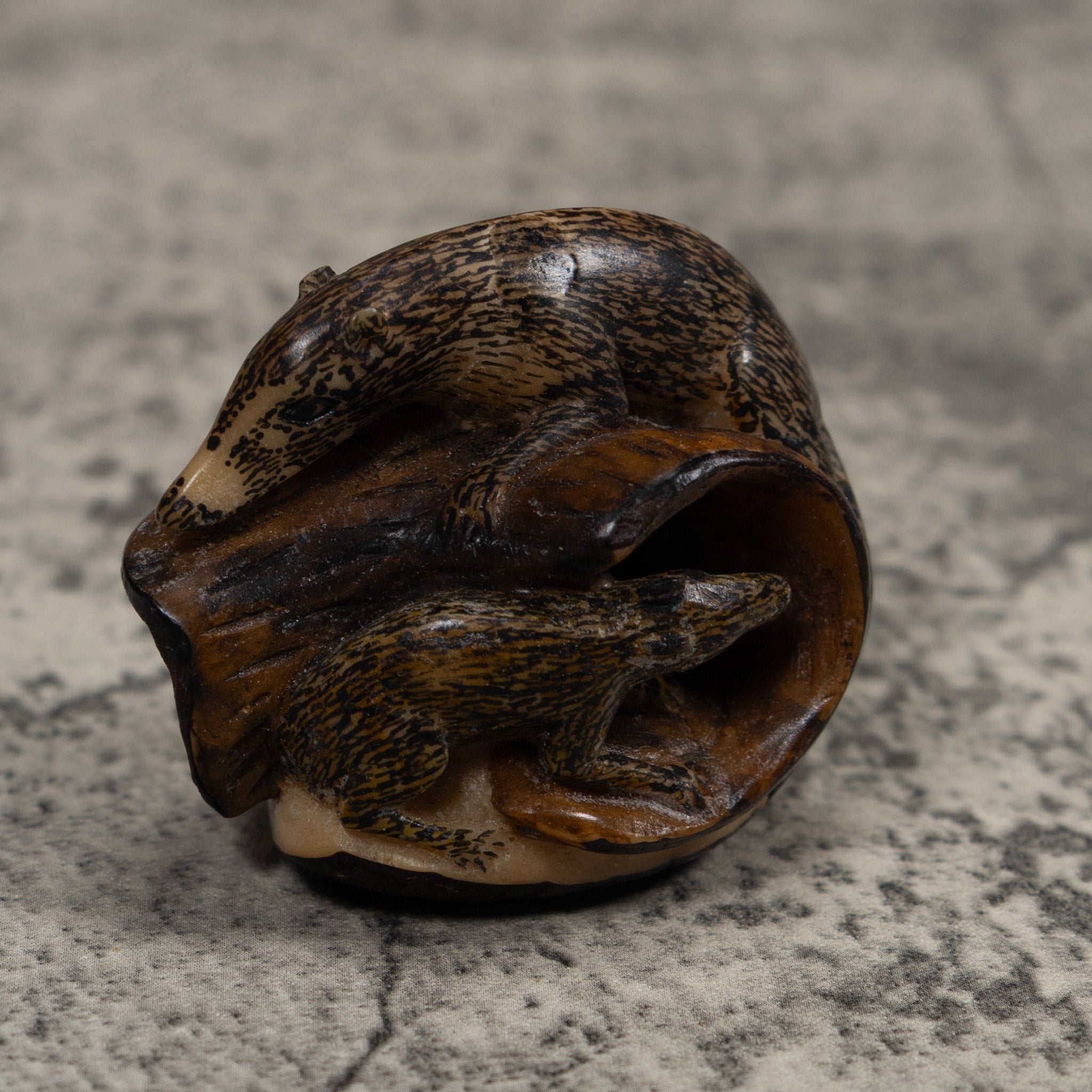 Coatimundi Tagua Carving